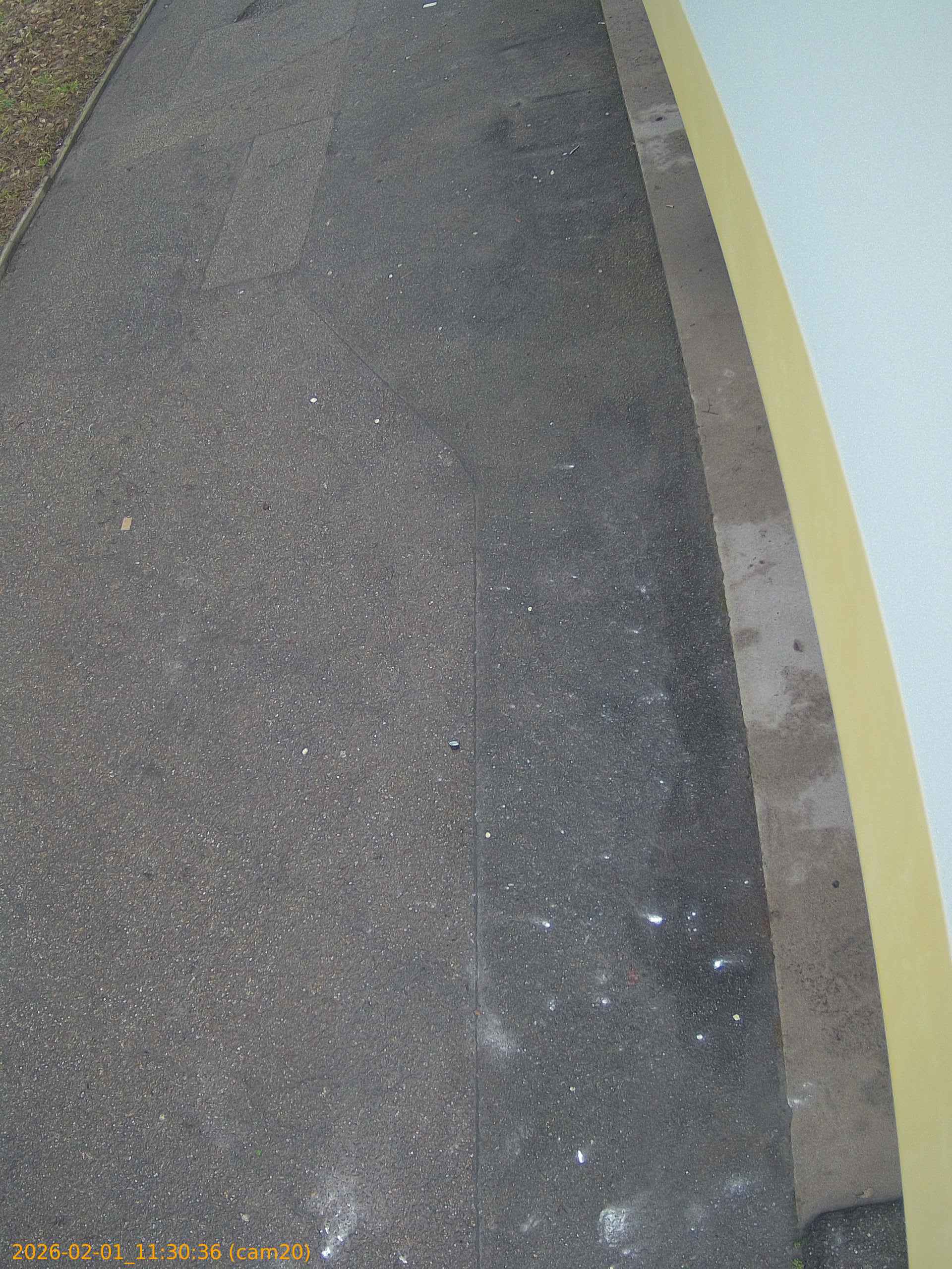 thumbnail_20260201113036