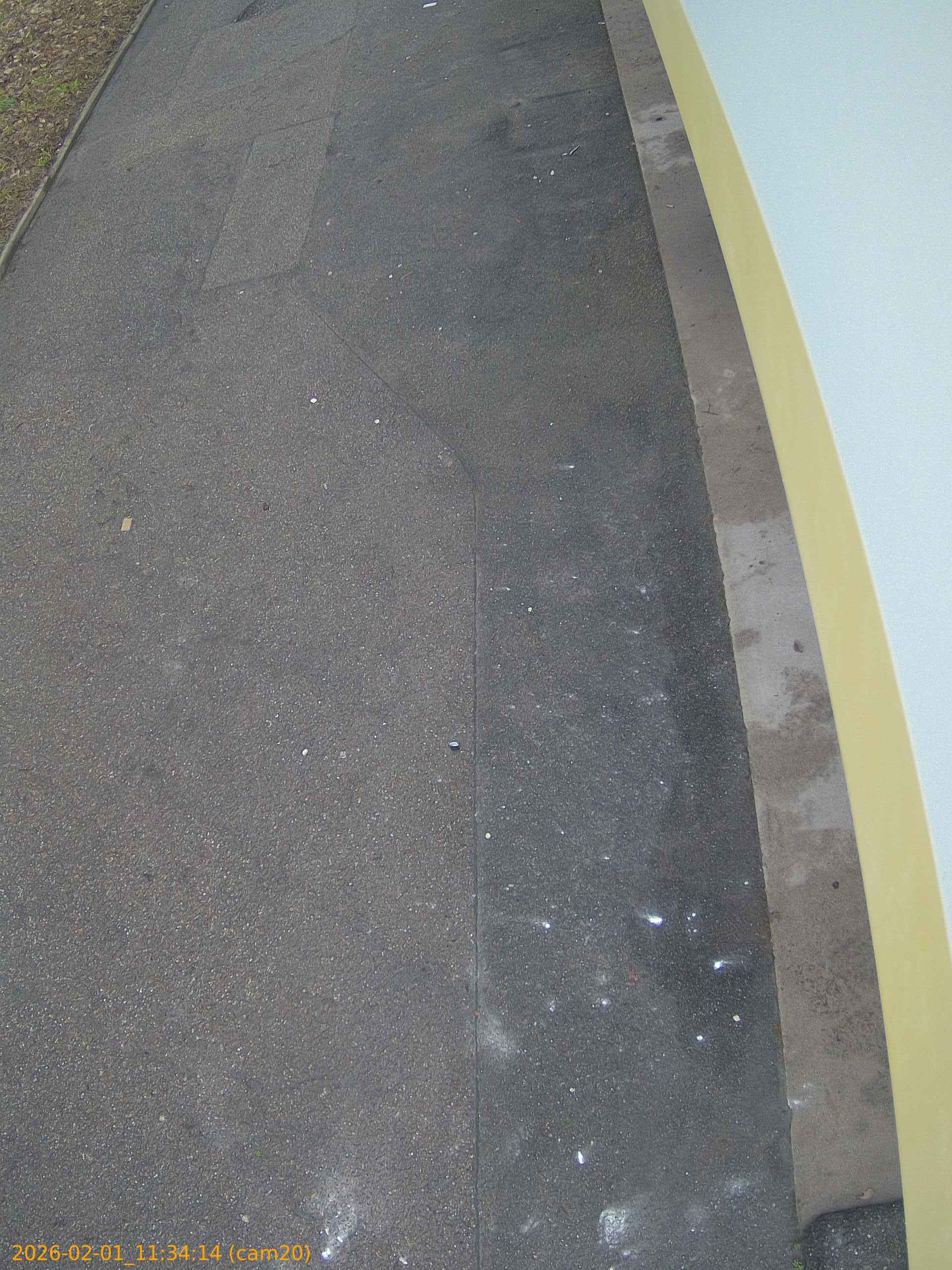 thumbnail_20260201113414