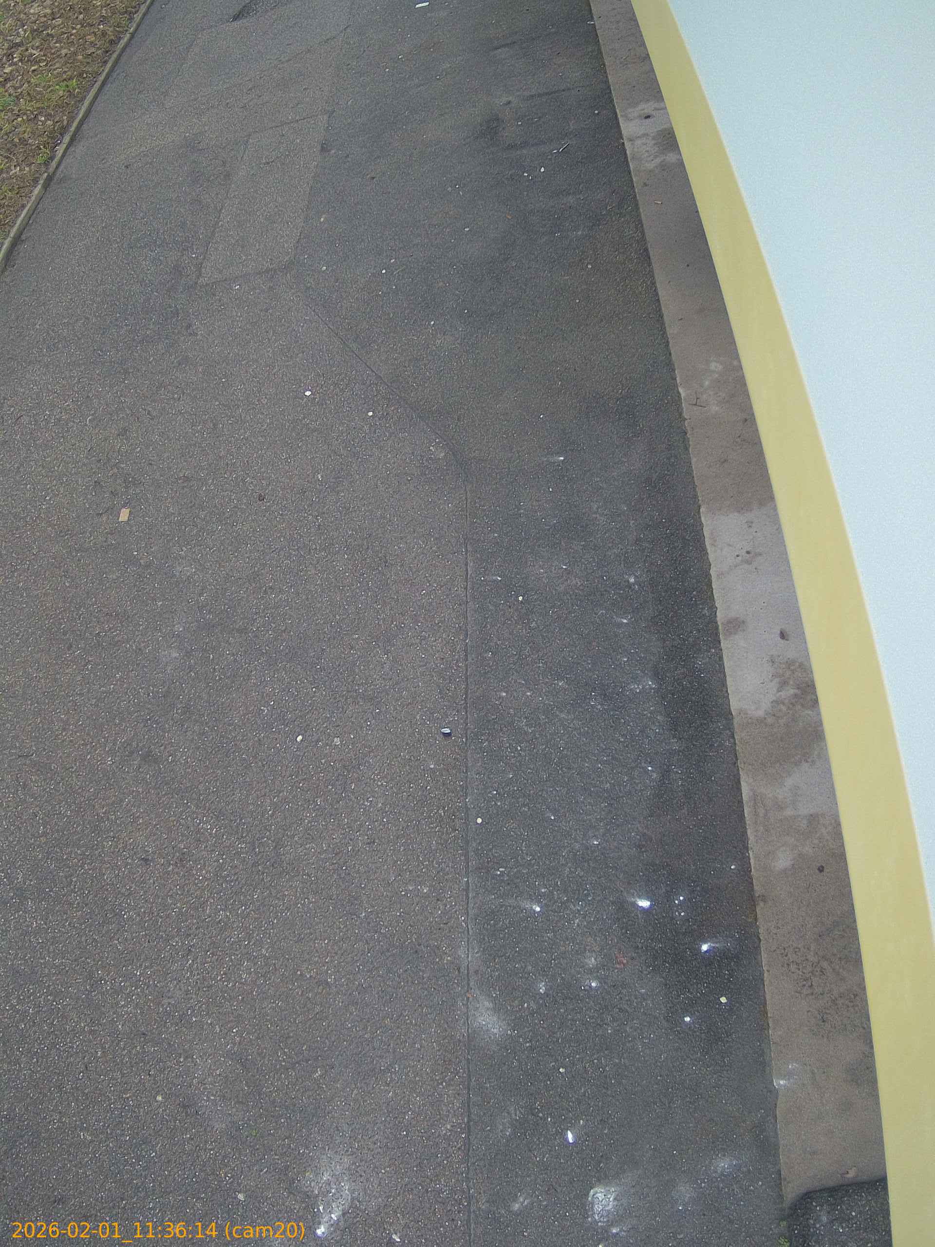 thumbnail_20260201113614