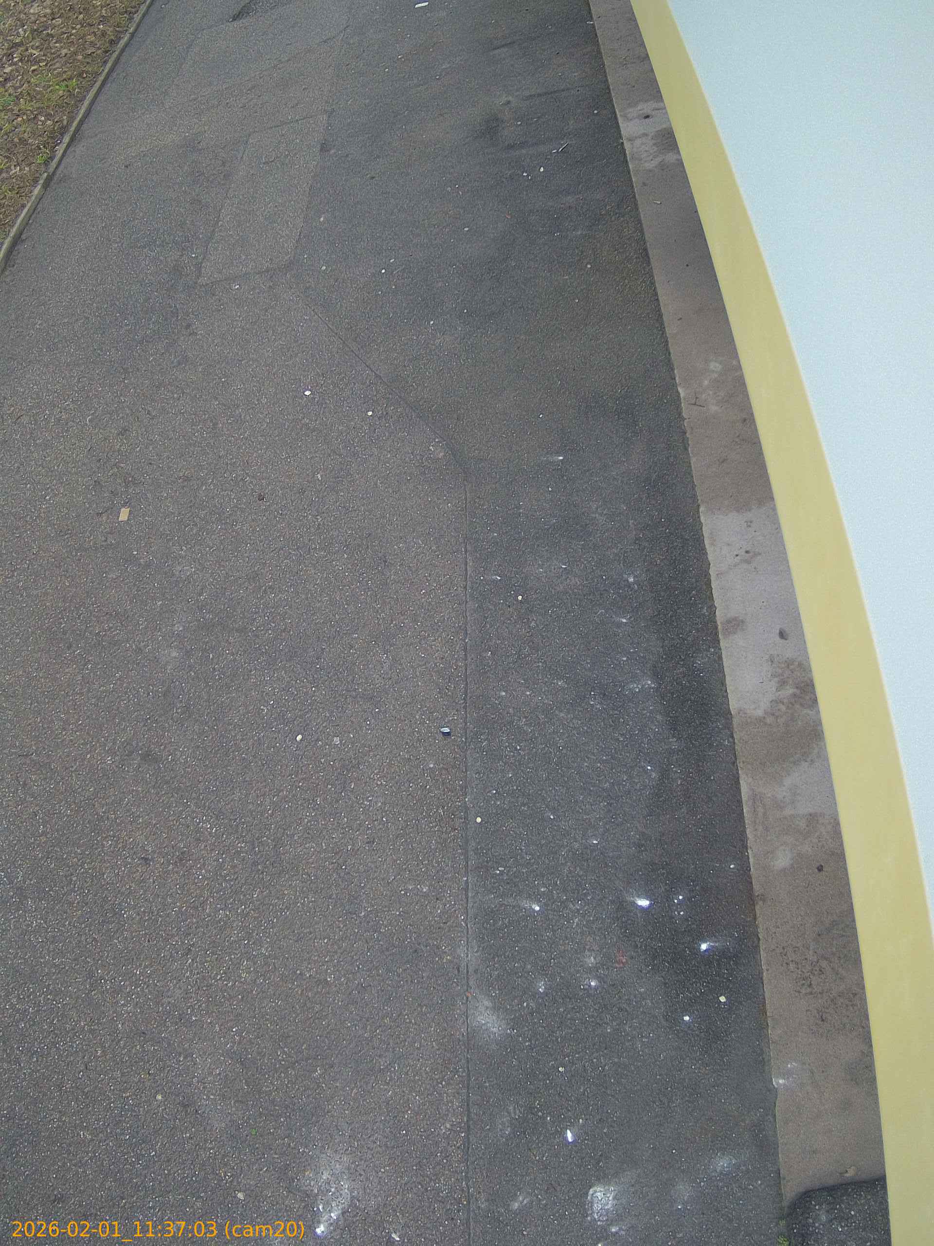 thumbnail_20260201113702