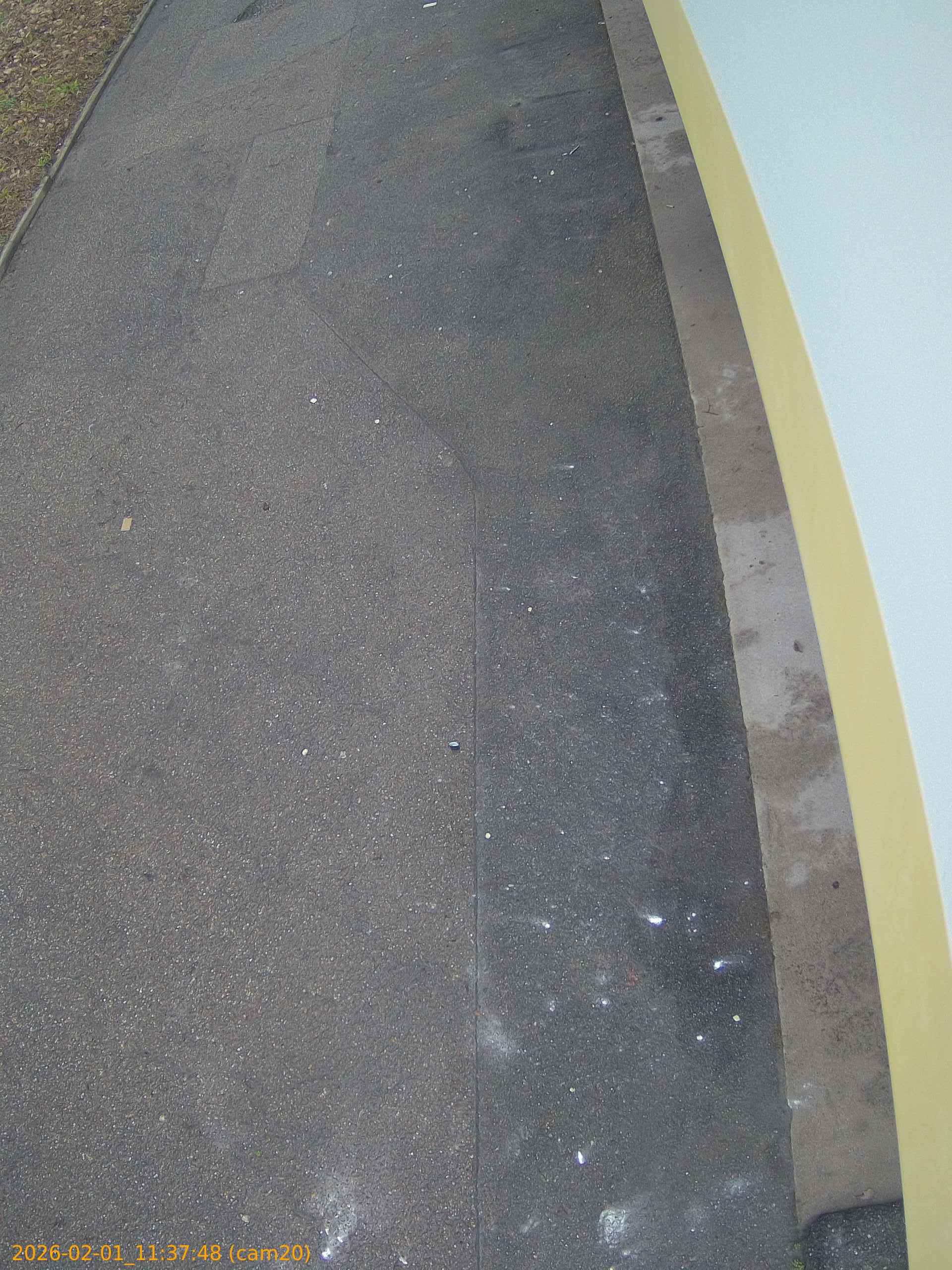 thumbnail_20260201113748