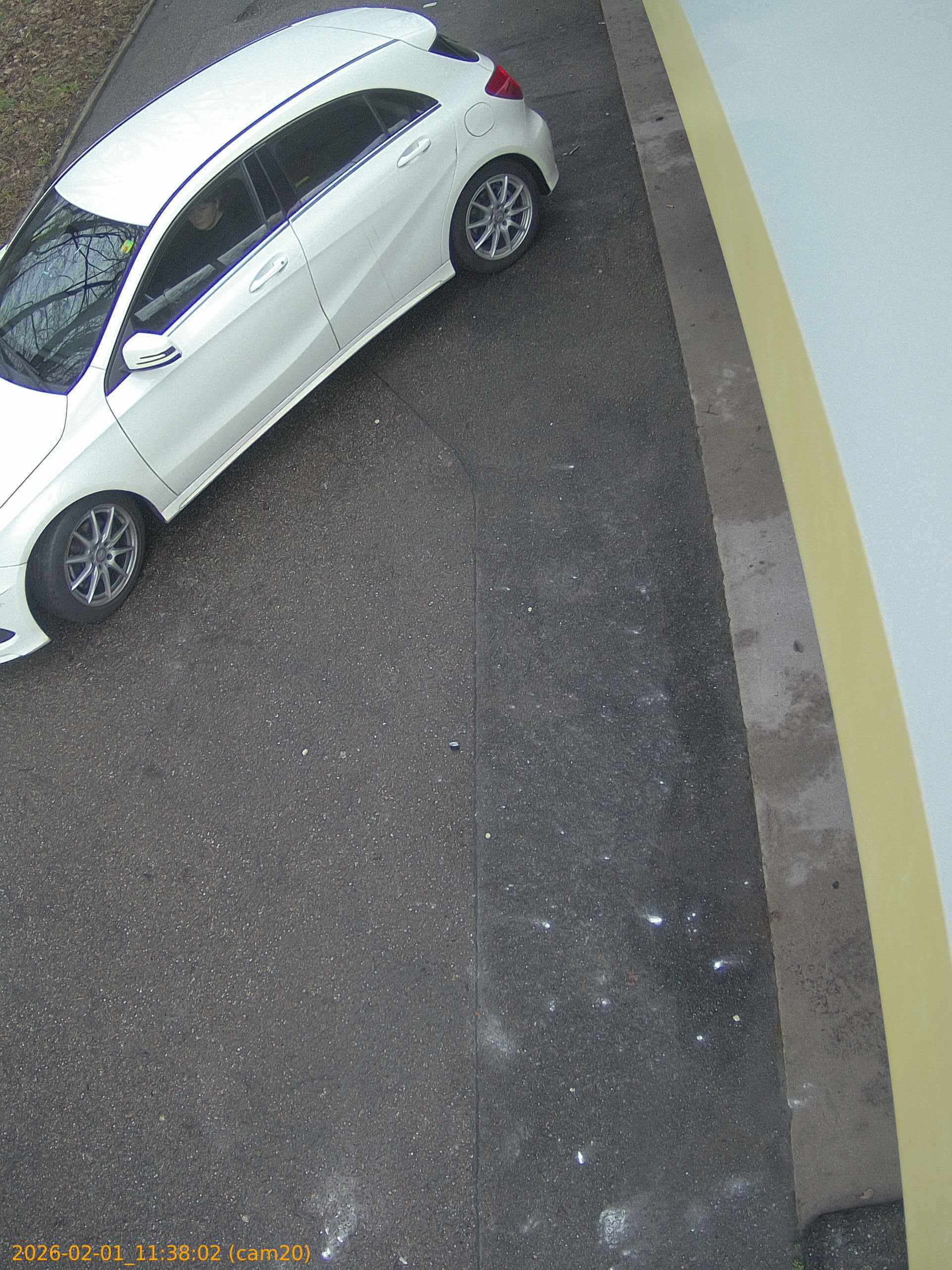 thumbnail_20260201113802