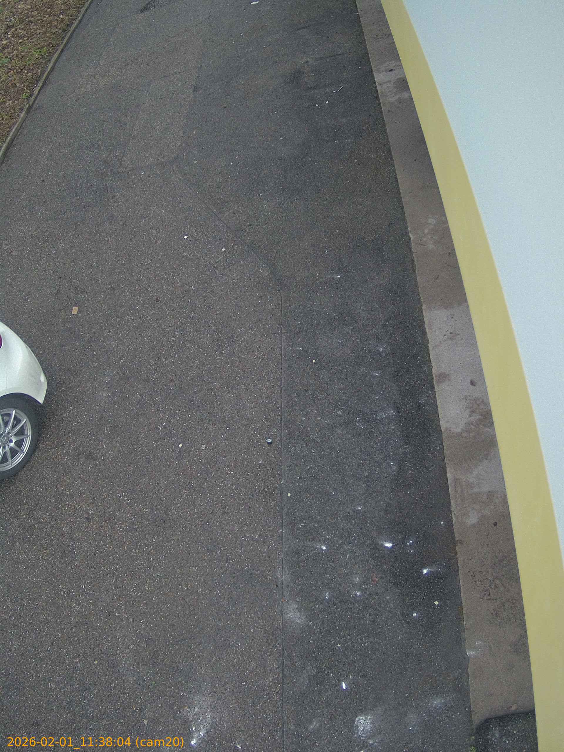 thumbnail_20260201113804