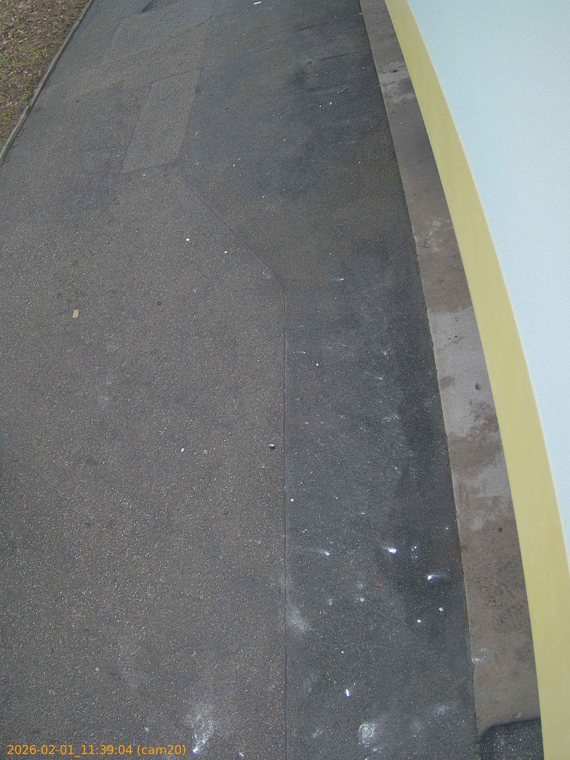 thumbnail_20260201113904