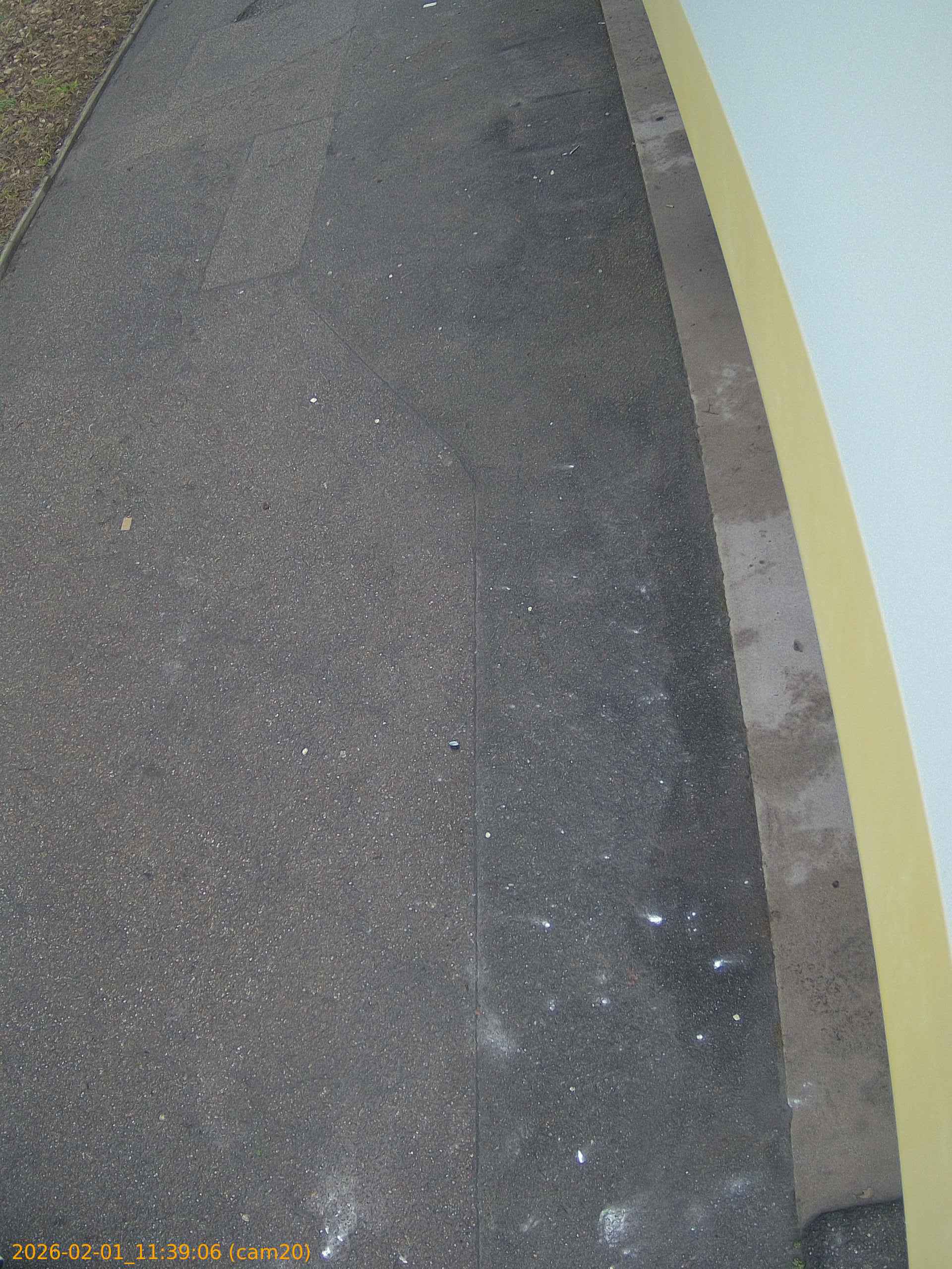 thumbnail_20260201113906