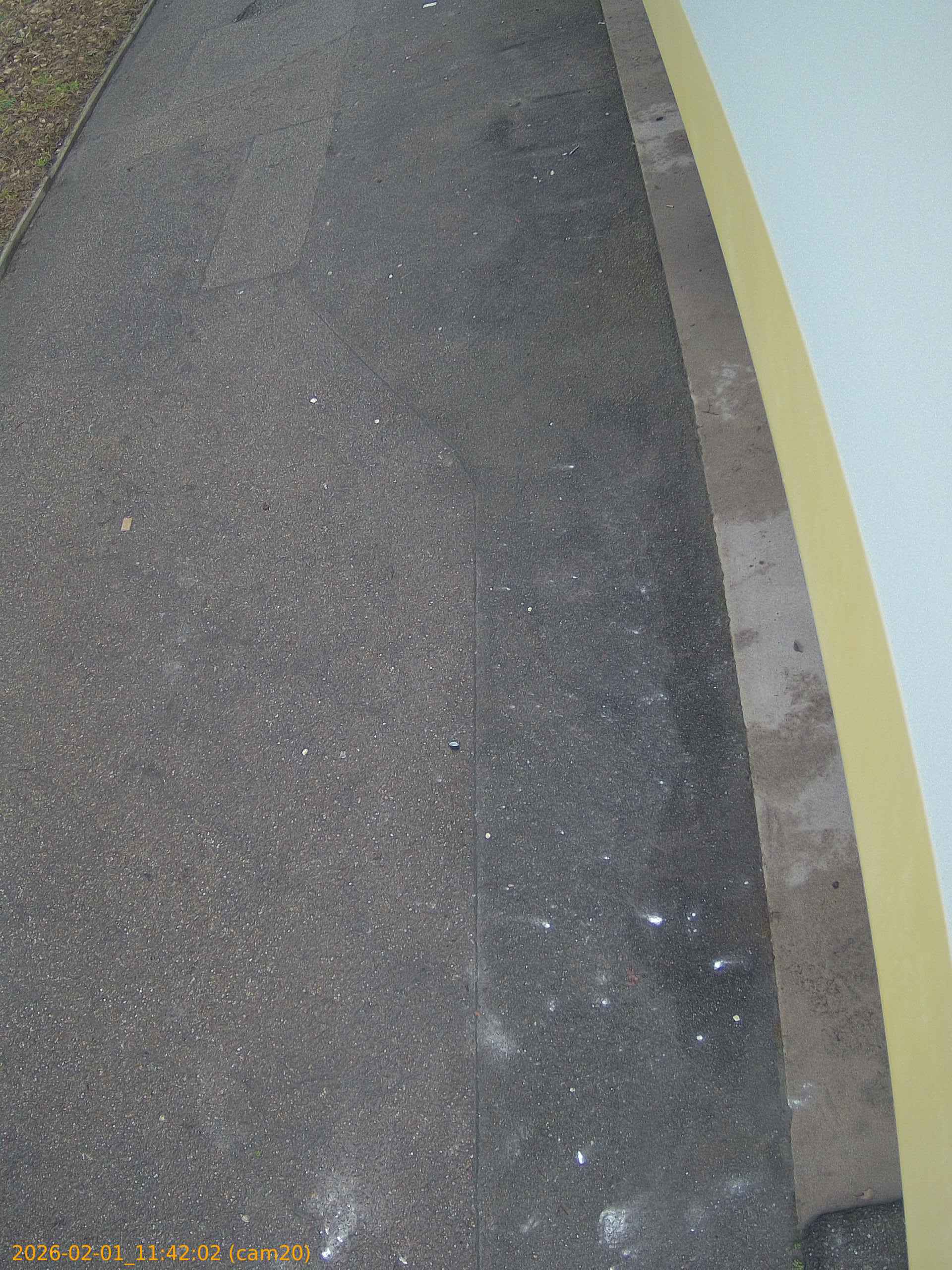 thumbnail_20260201114202