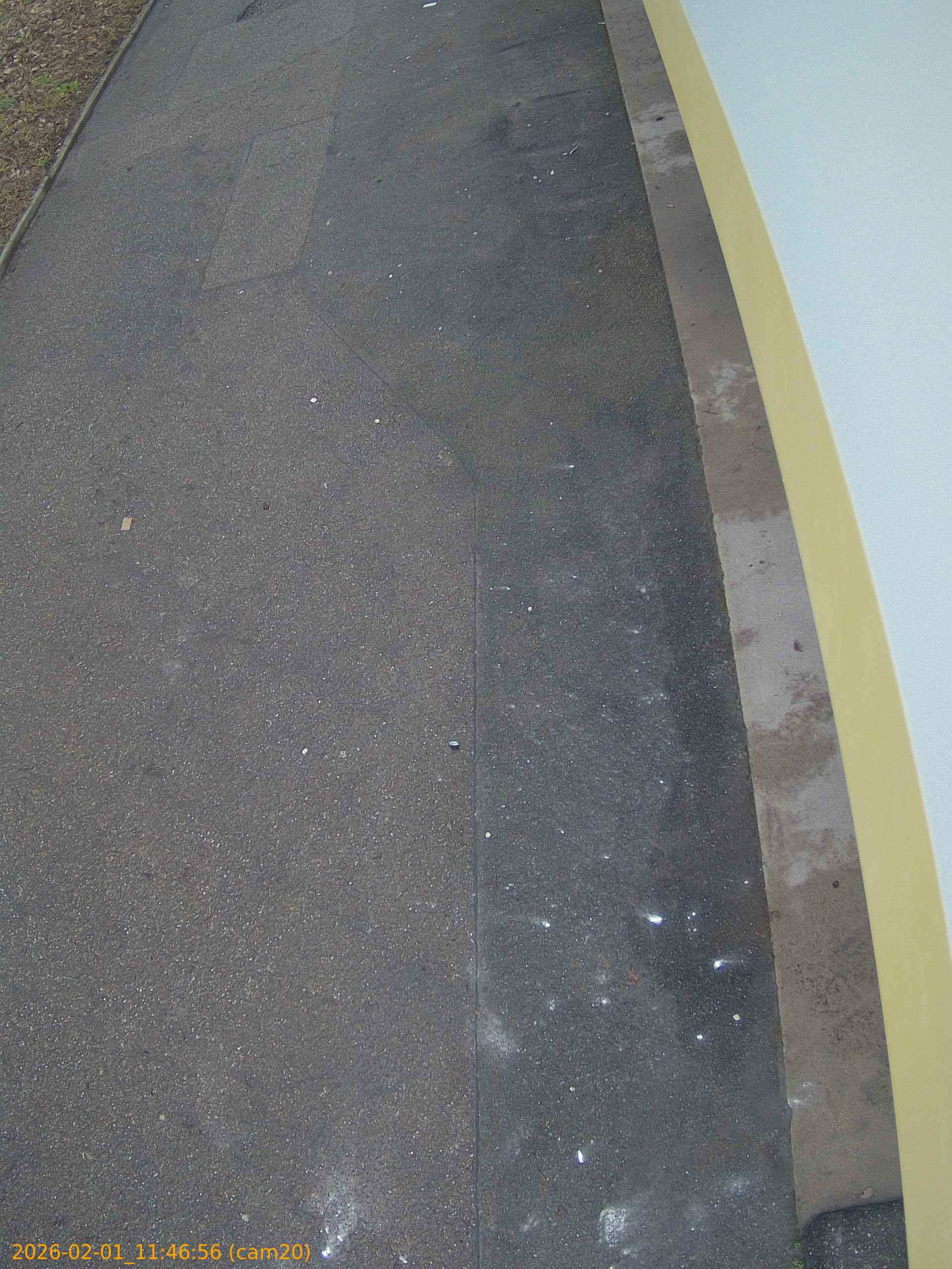 thumbnail_20260201114656