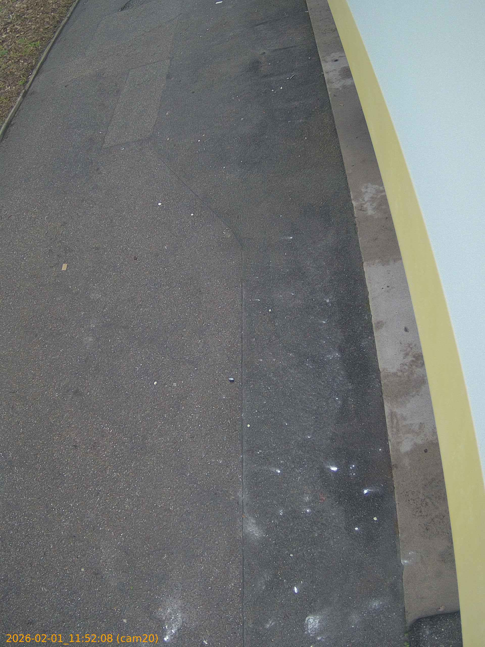 thumbnail_20260201115208