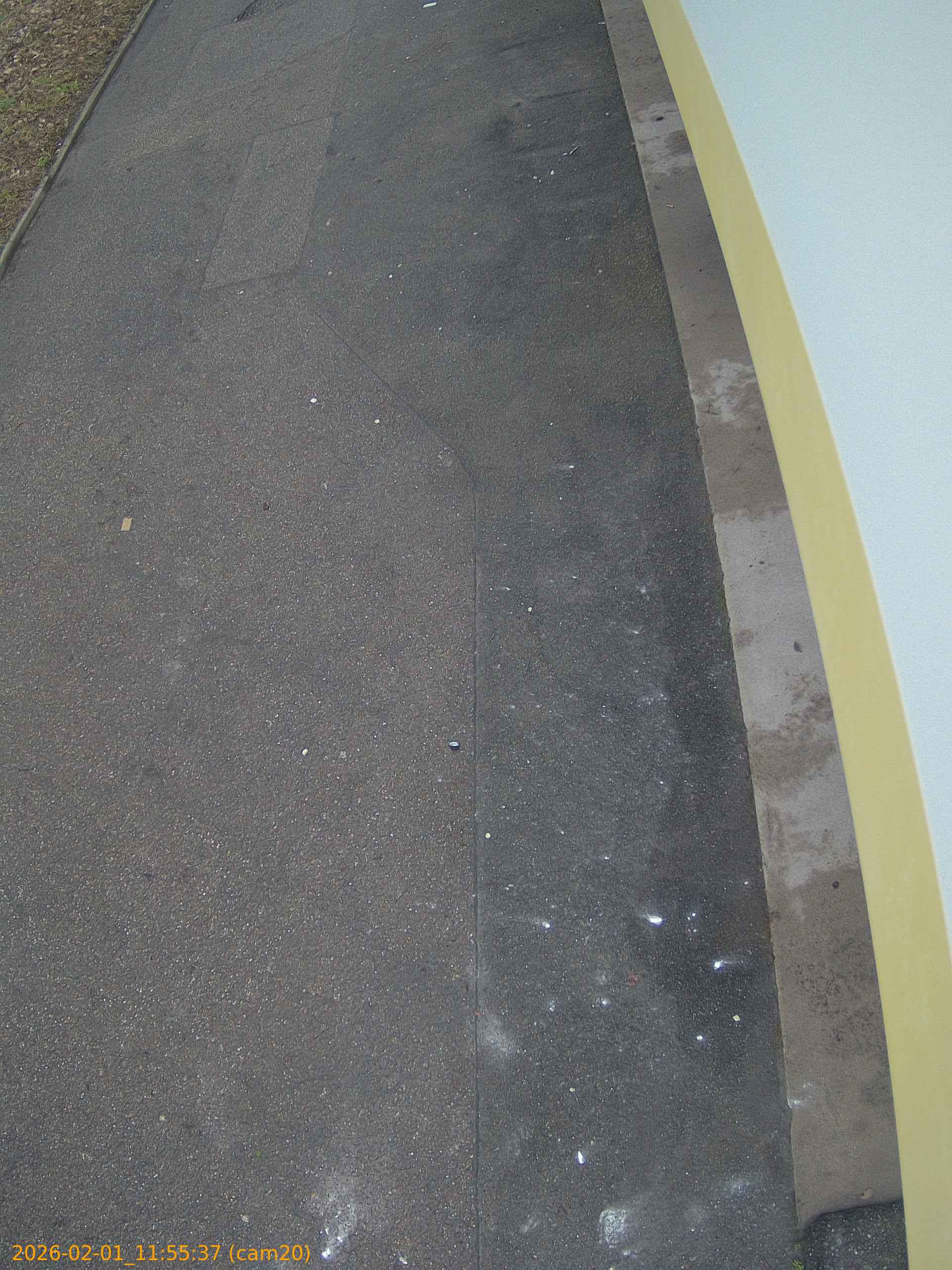 thumbnail_20260201115537