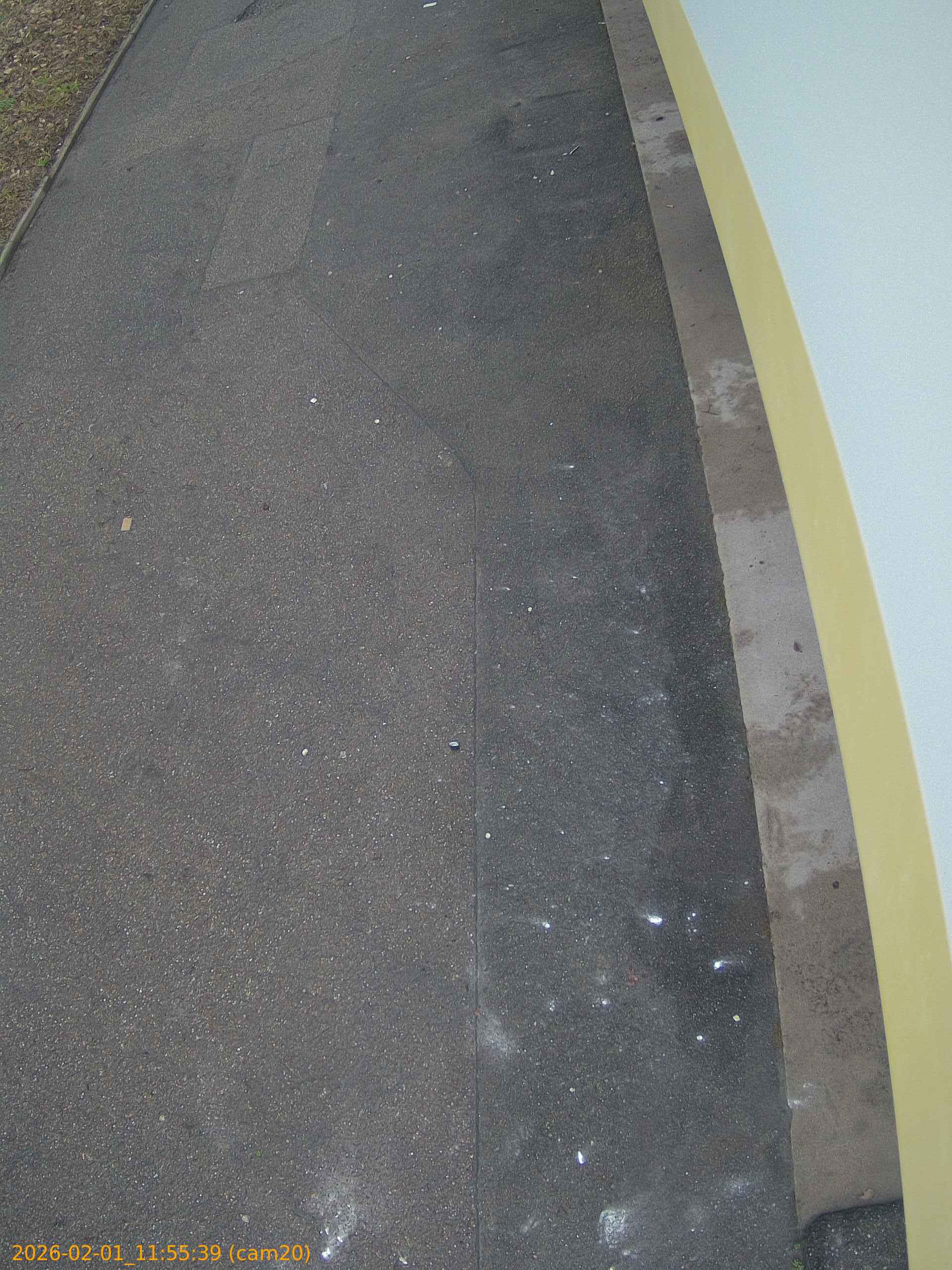 thumbnail_20260201115539