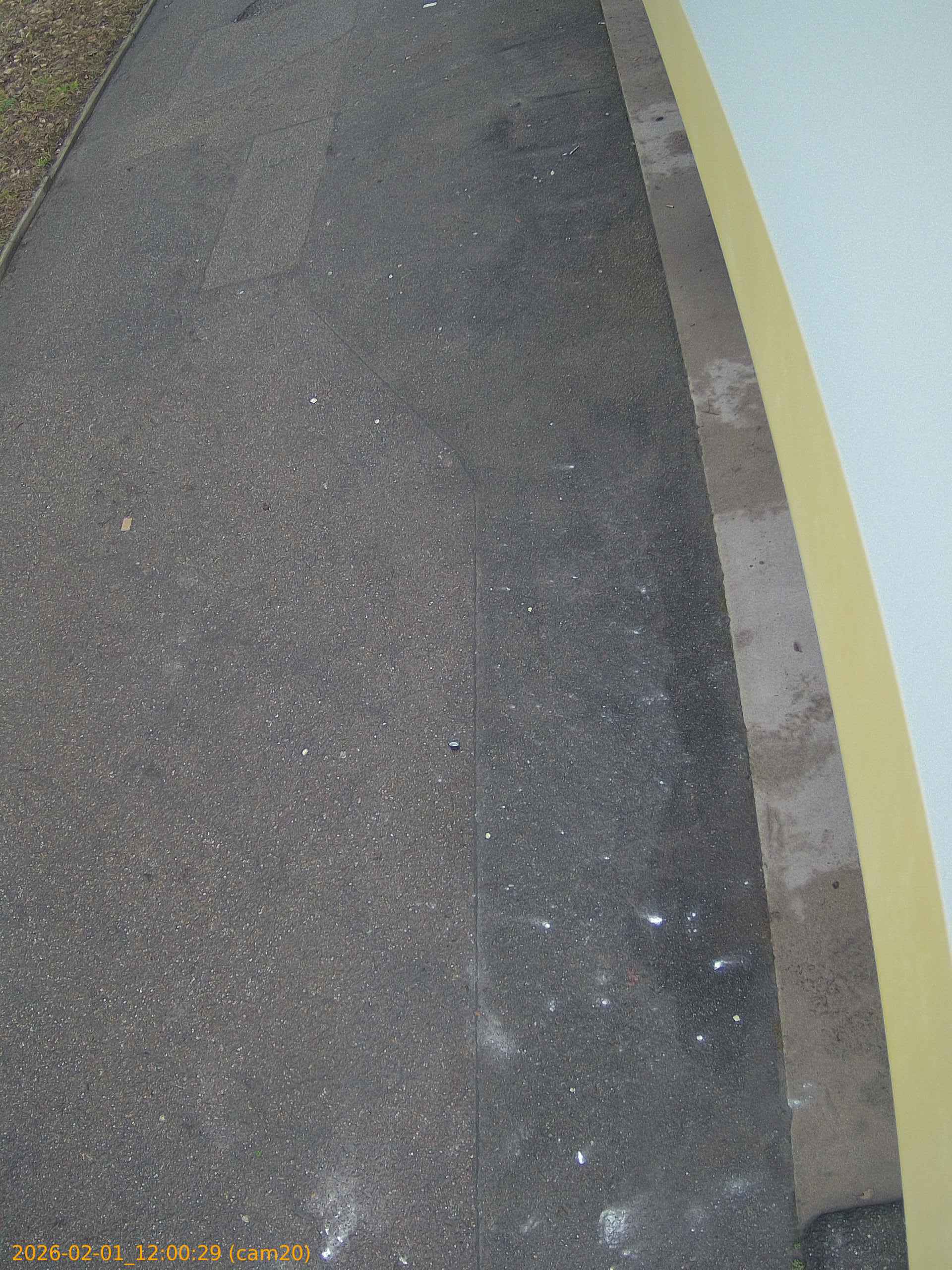 thumbnail_20260201120029