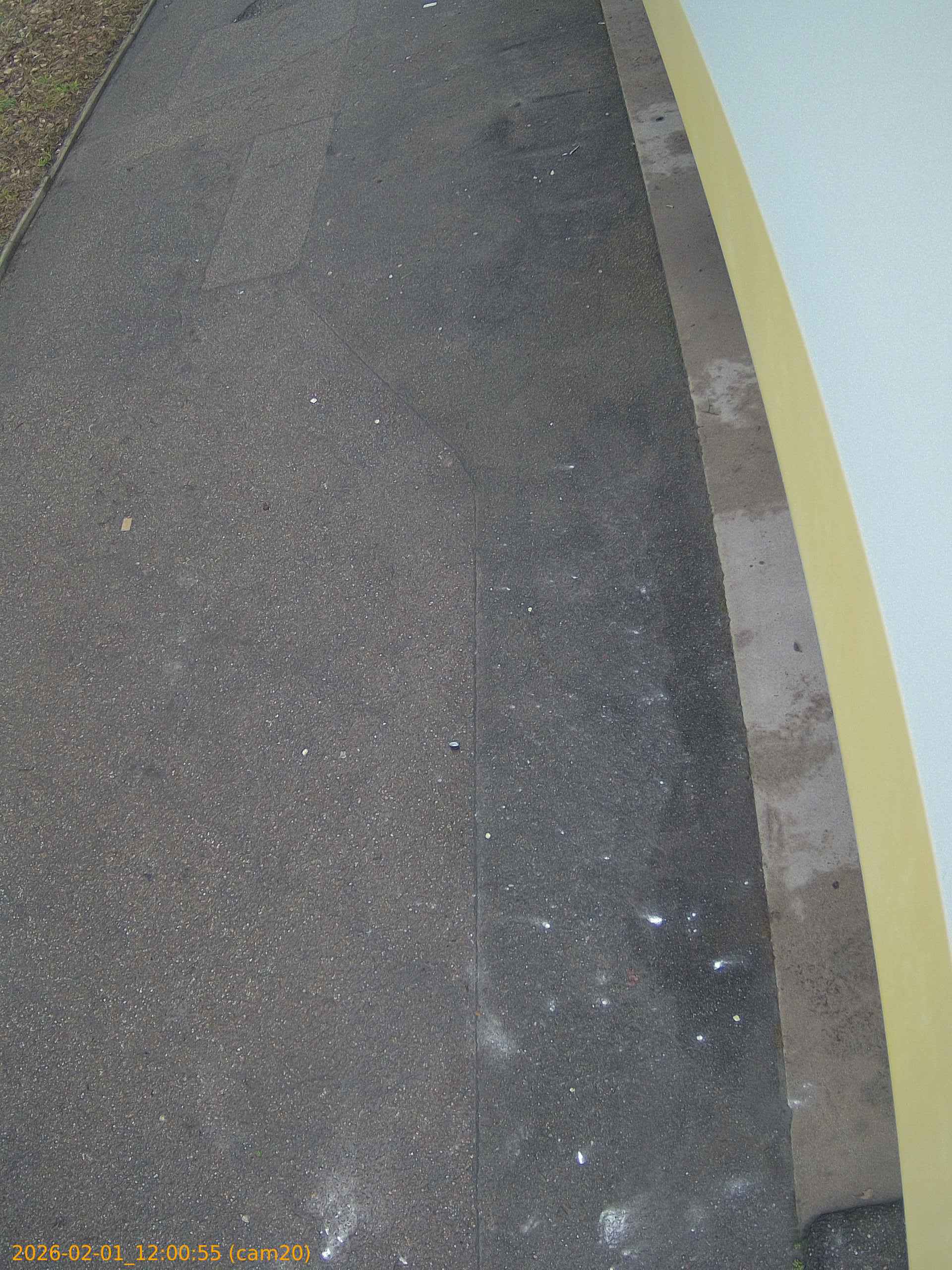 thumbnail_20260201120055