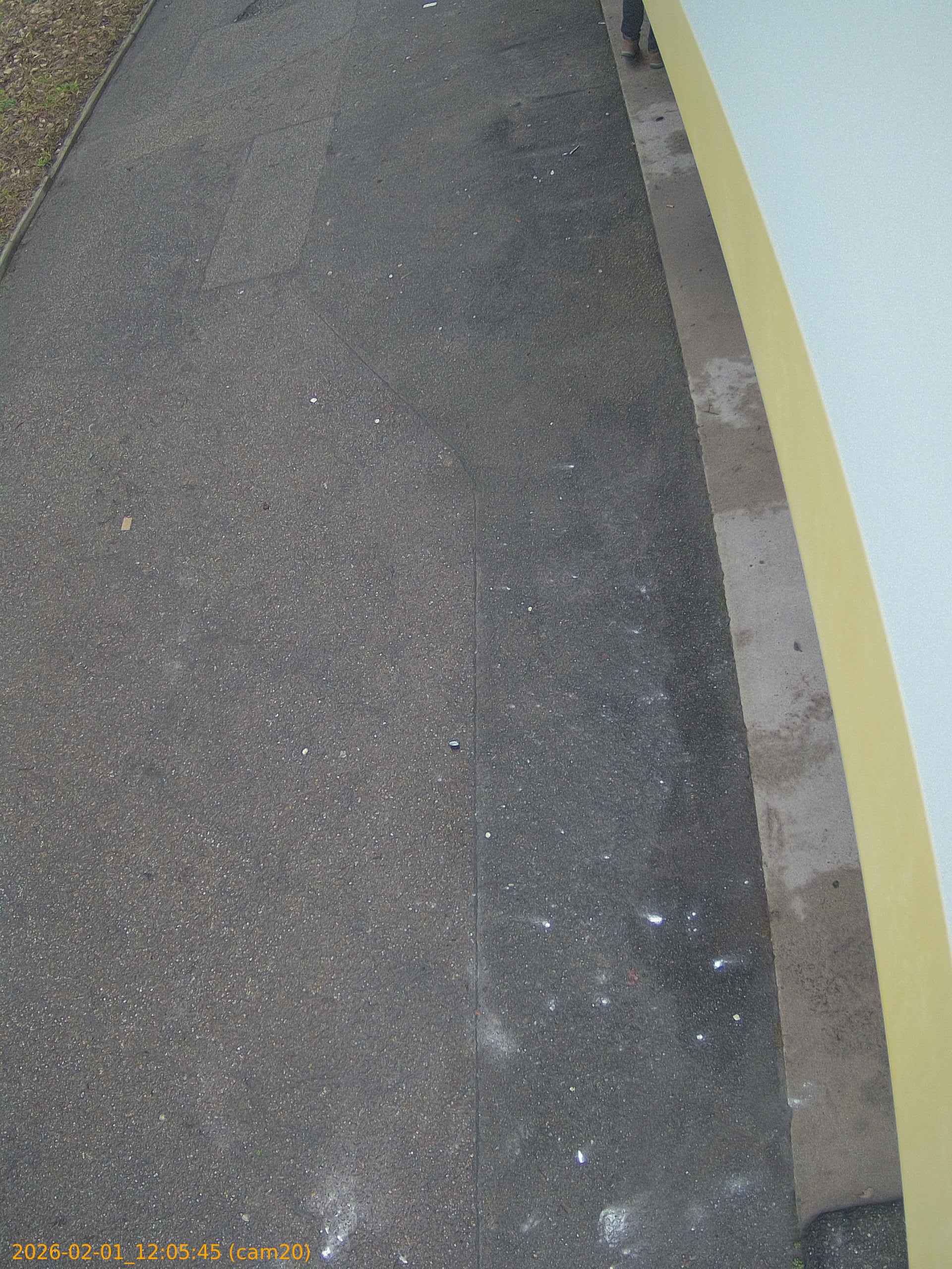 thumbnail_20260201120545