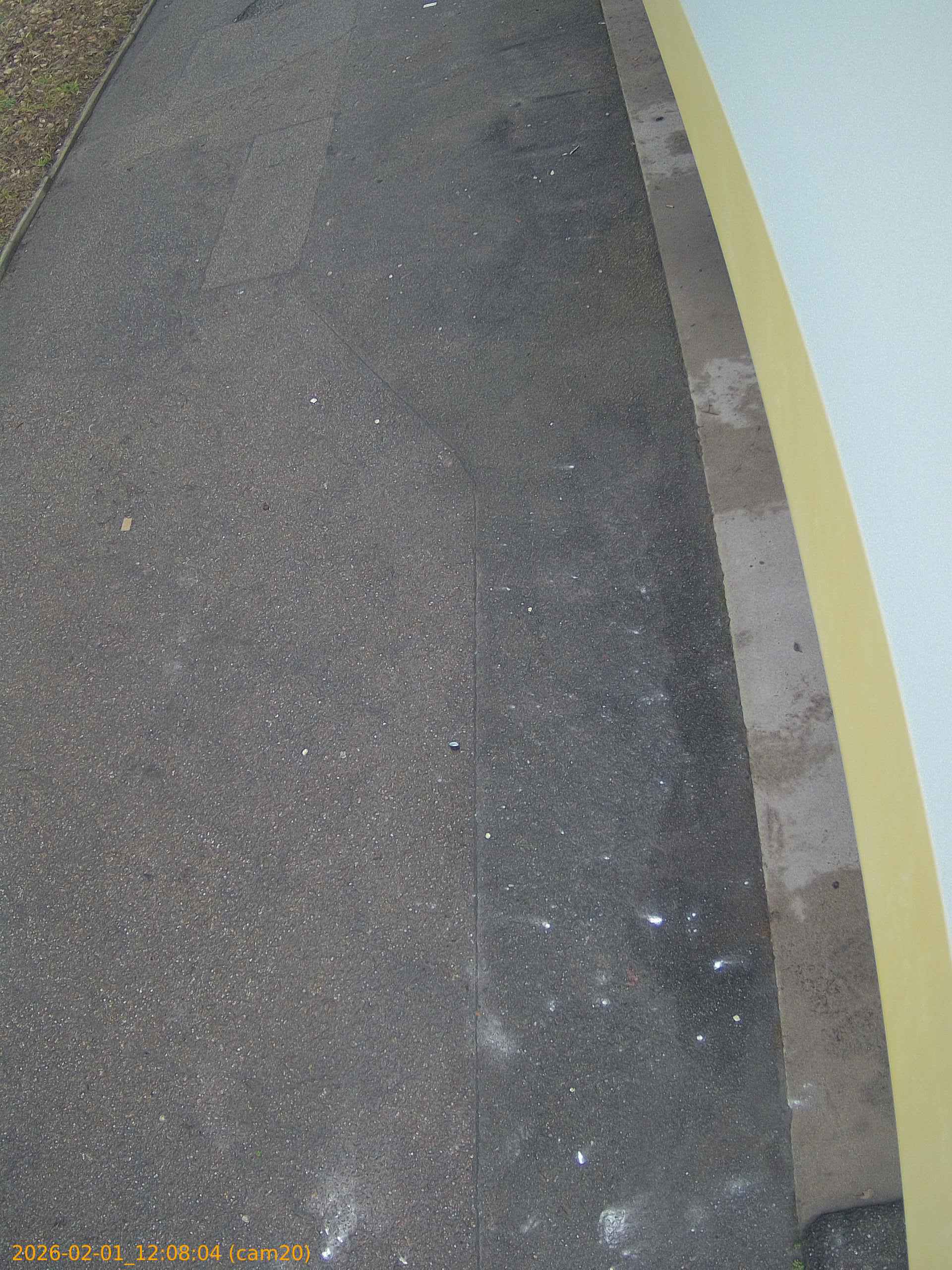 thumbnail_20260201120804