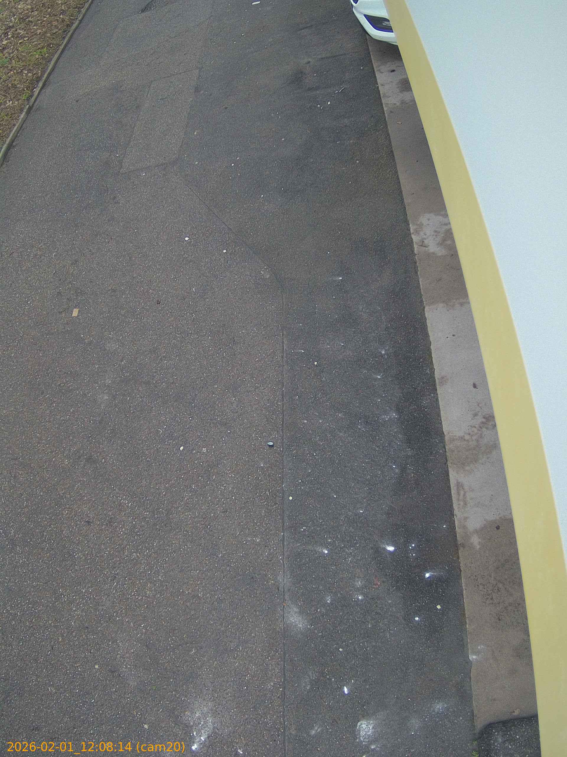 thumbnail_20260201120814