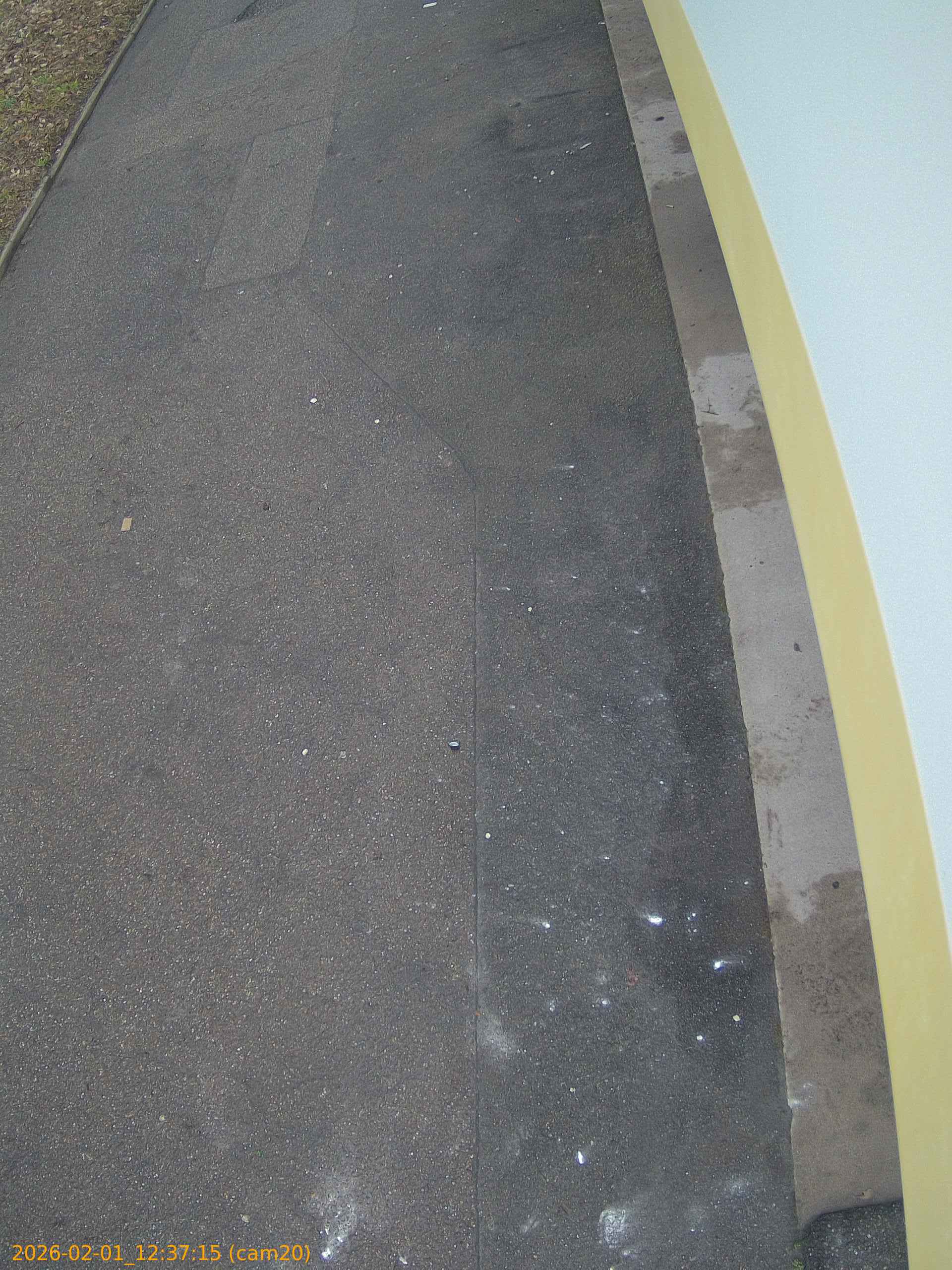 thumbnail_20260201123715