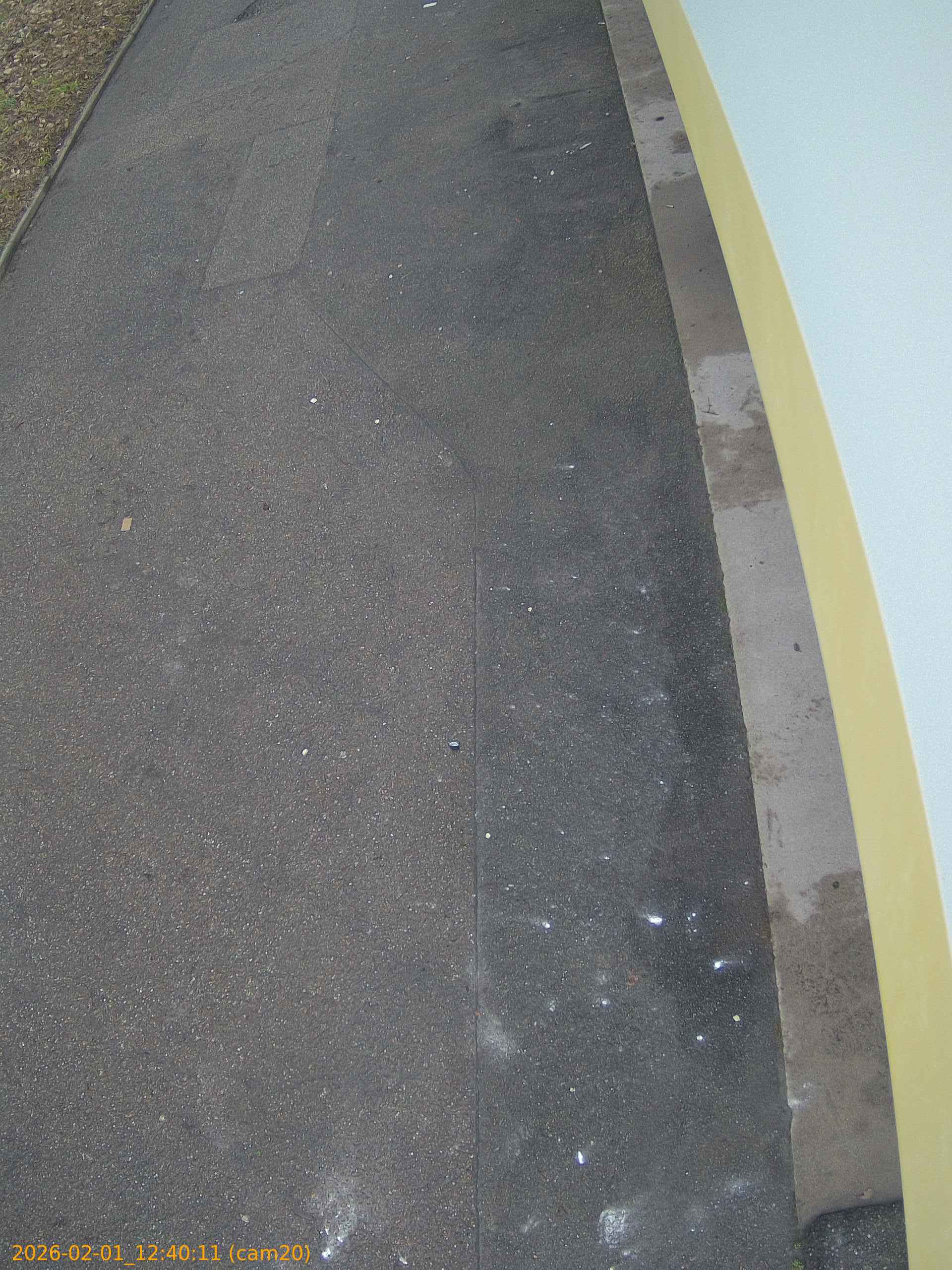 thumbnail_20260201124011