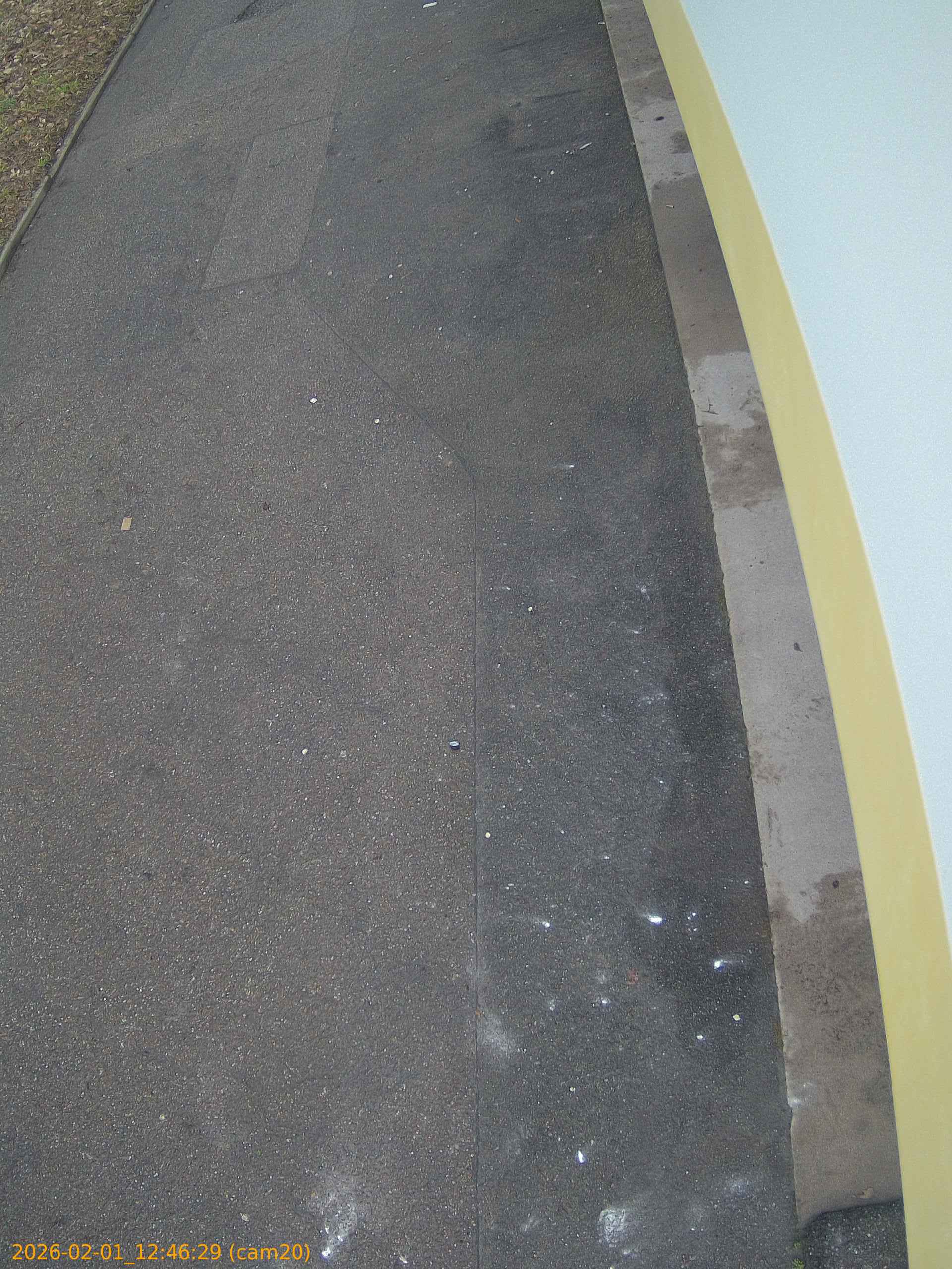 thumbnail_20260201124629