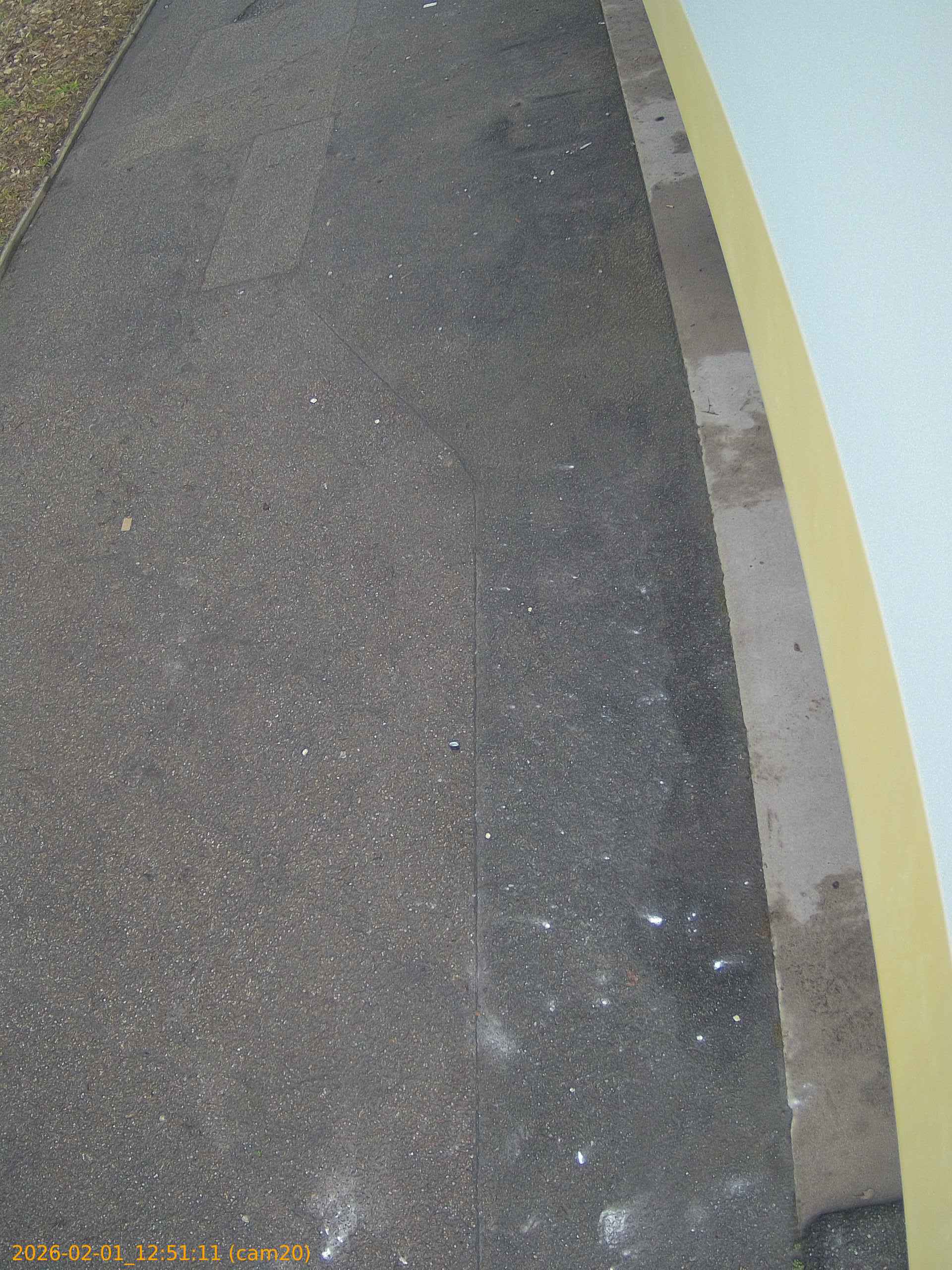 thumbnail_20260201125111