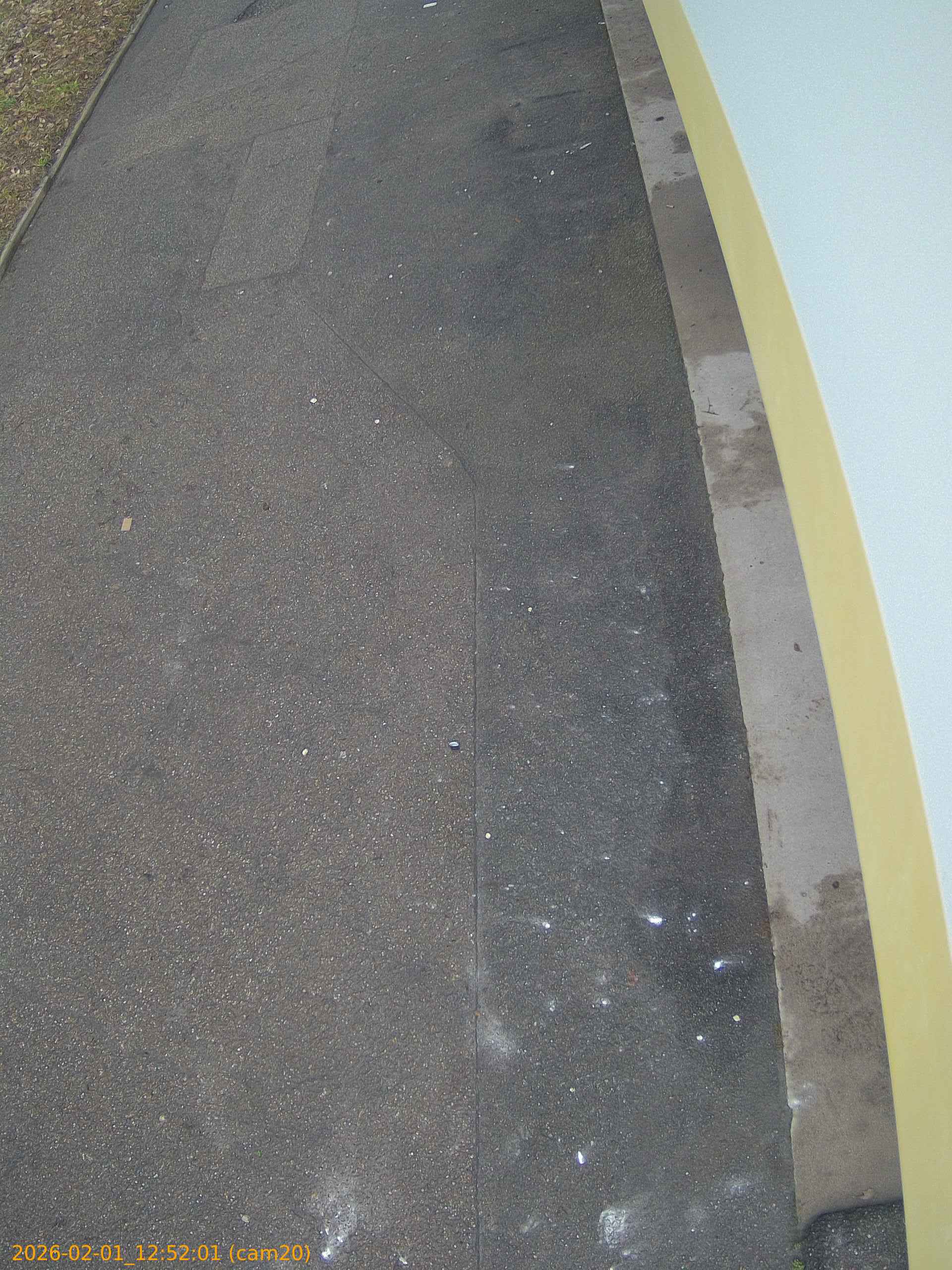 thumbnail_20260201125201