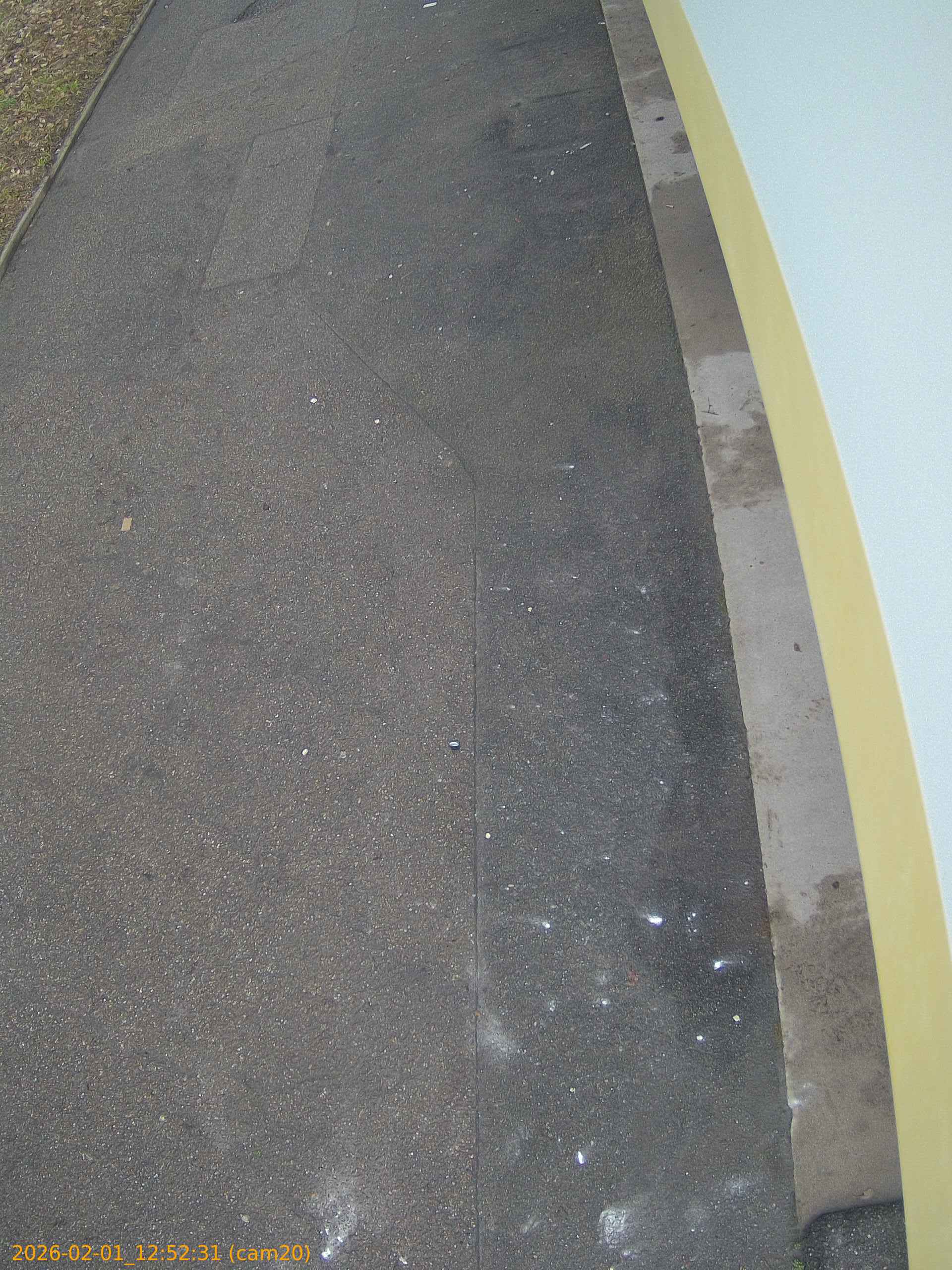 thumbnail_20260201125231