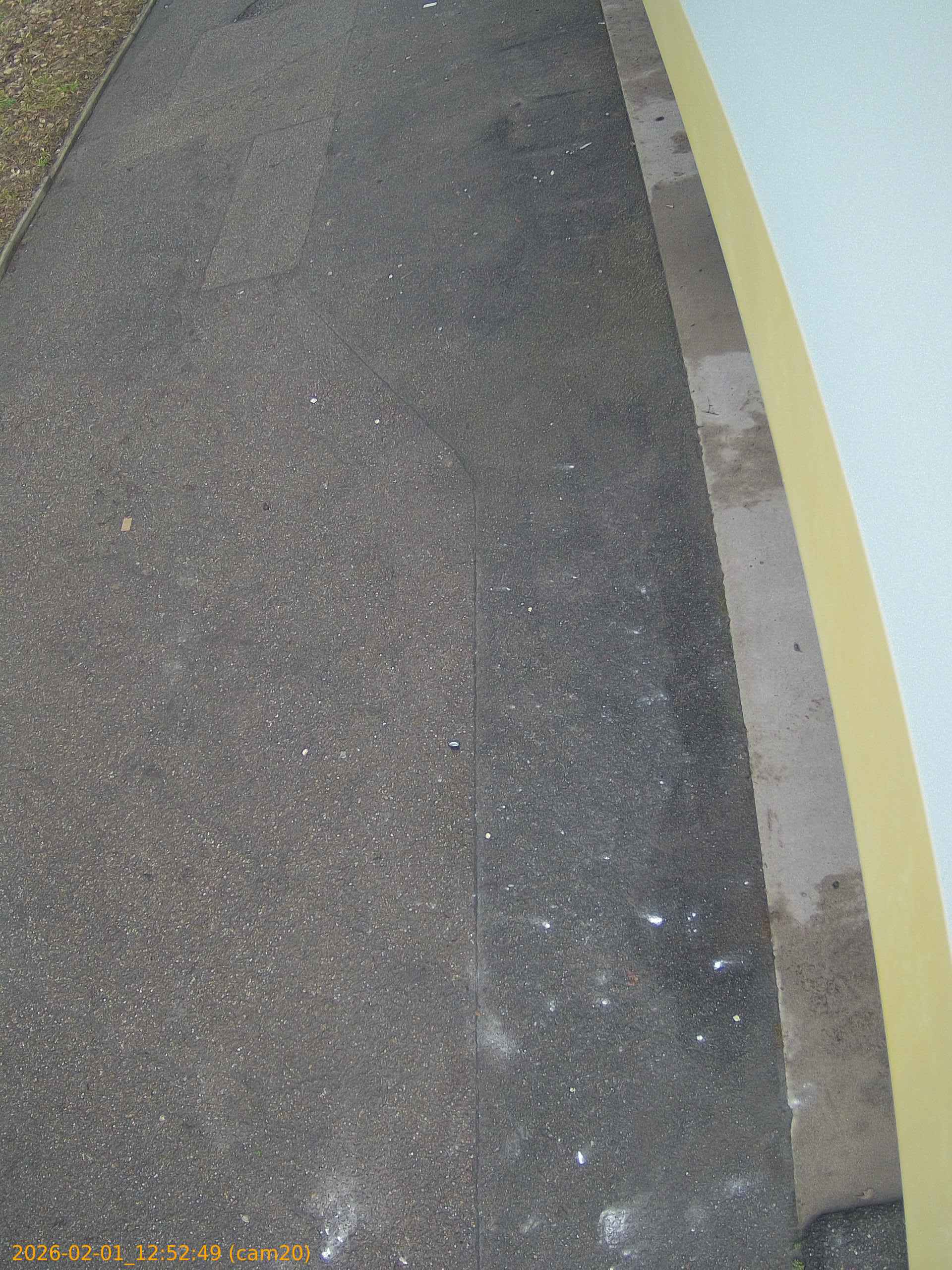 thumbnail_20260201125249