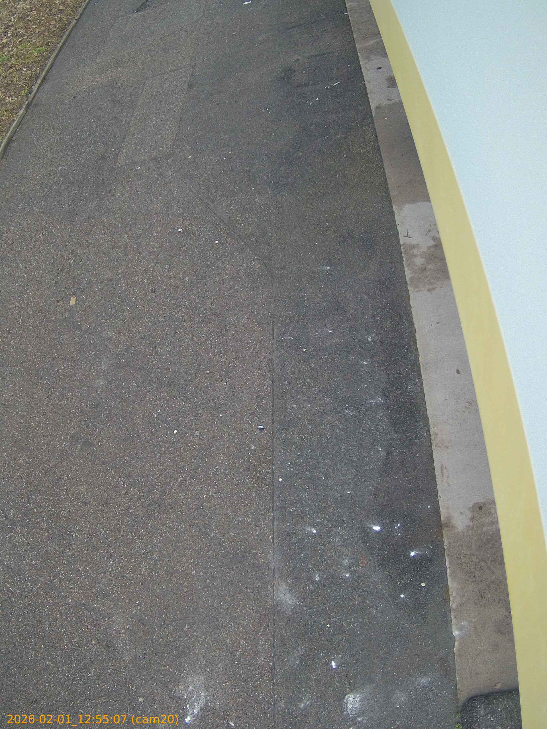 thumbnail_20260201125507