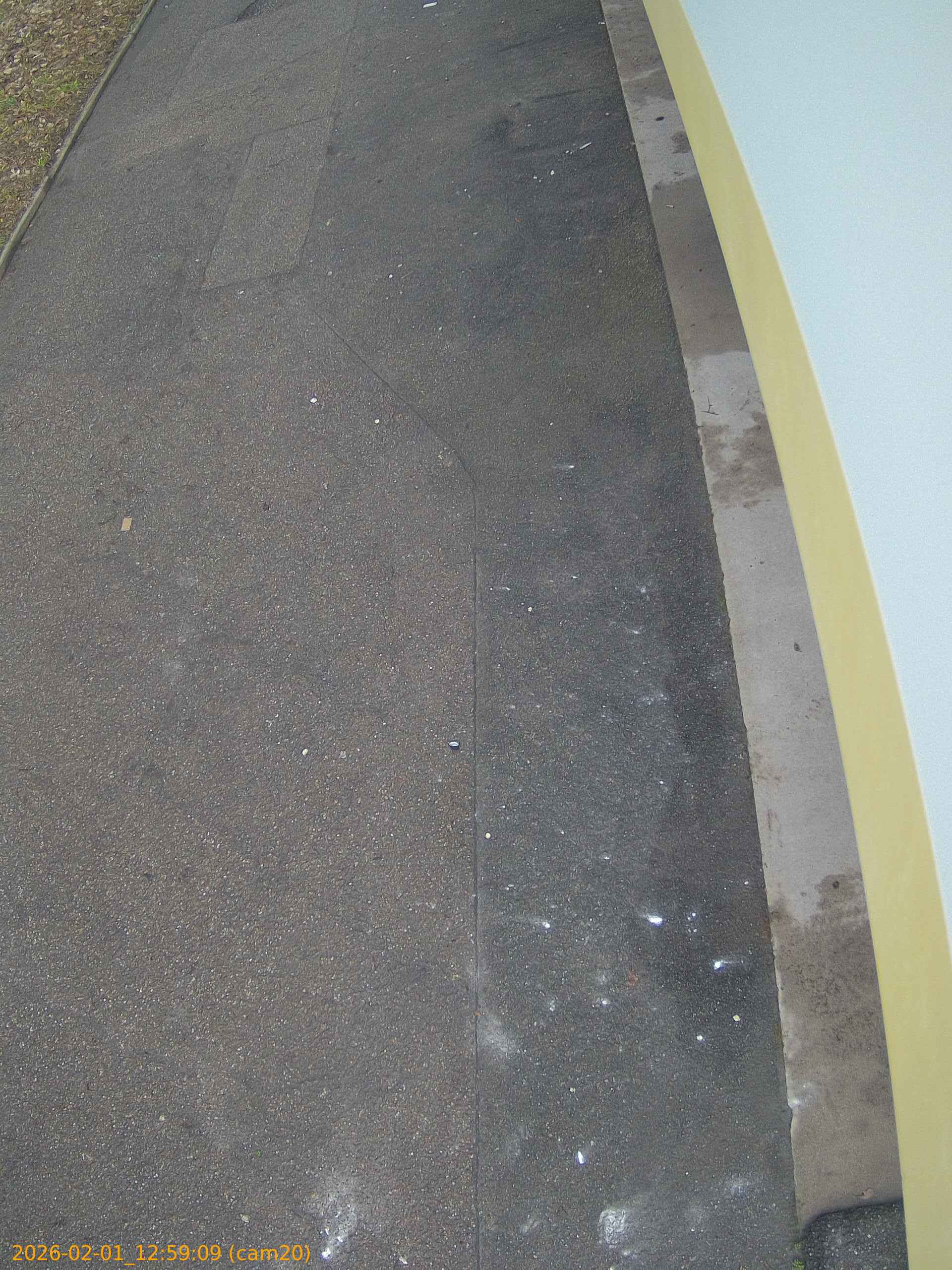 thumbnail_20260201125909