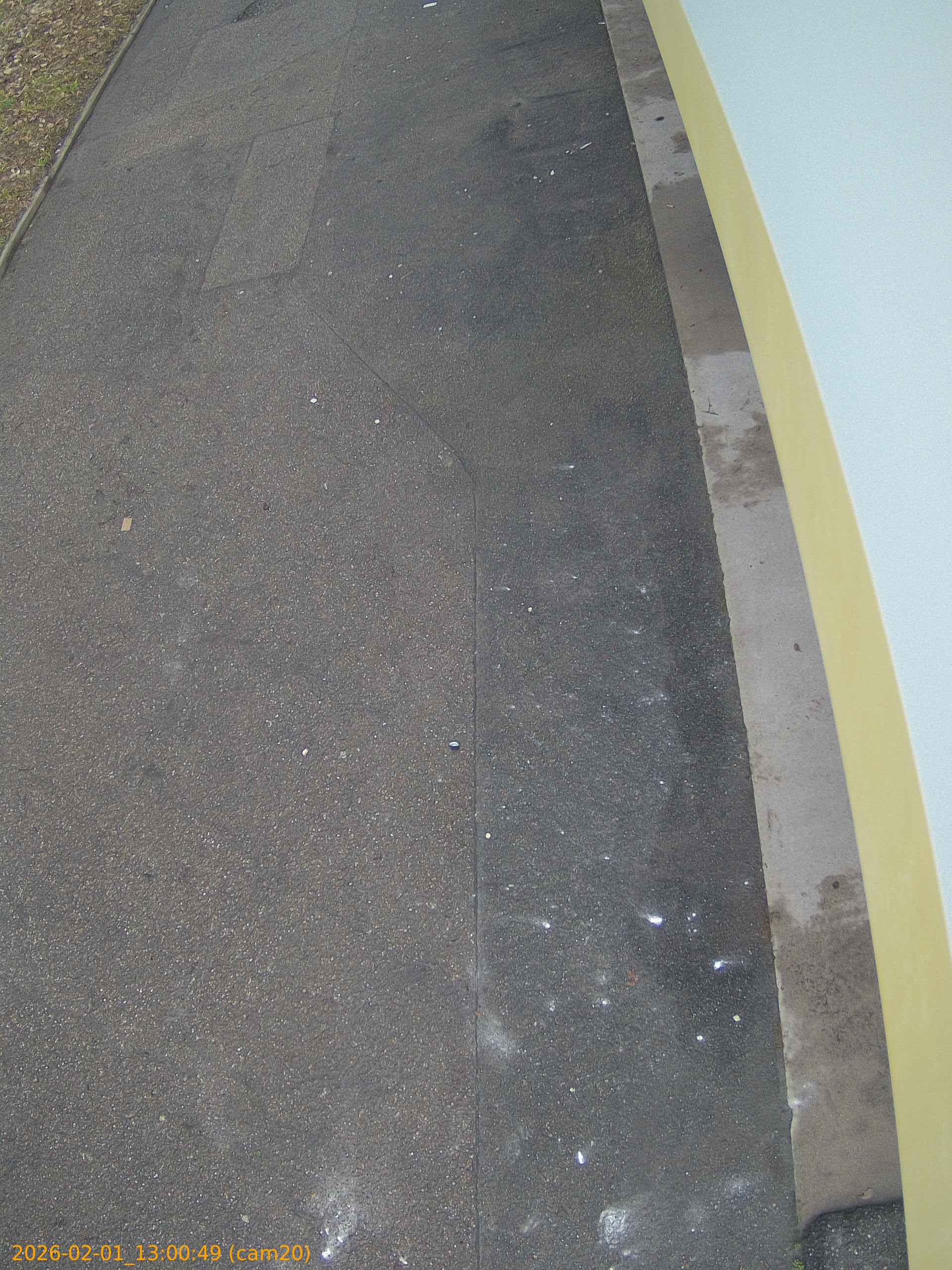 thumbnail_20260201130049