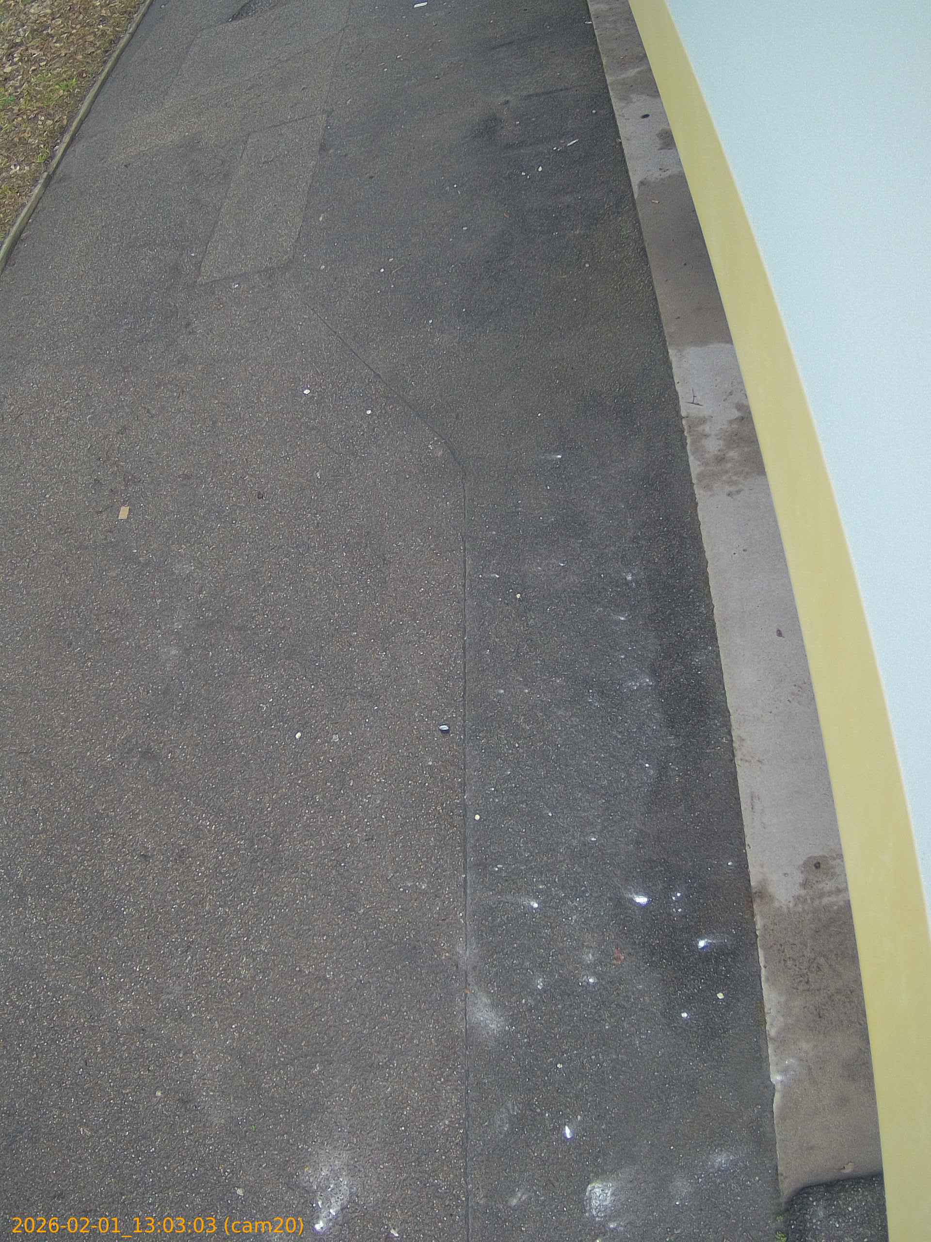 thumbnail_20260201130303