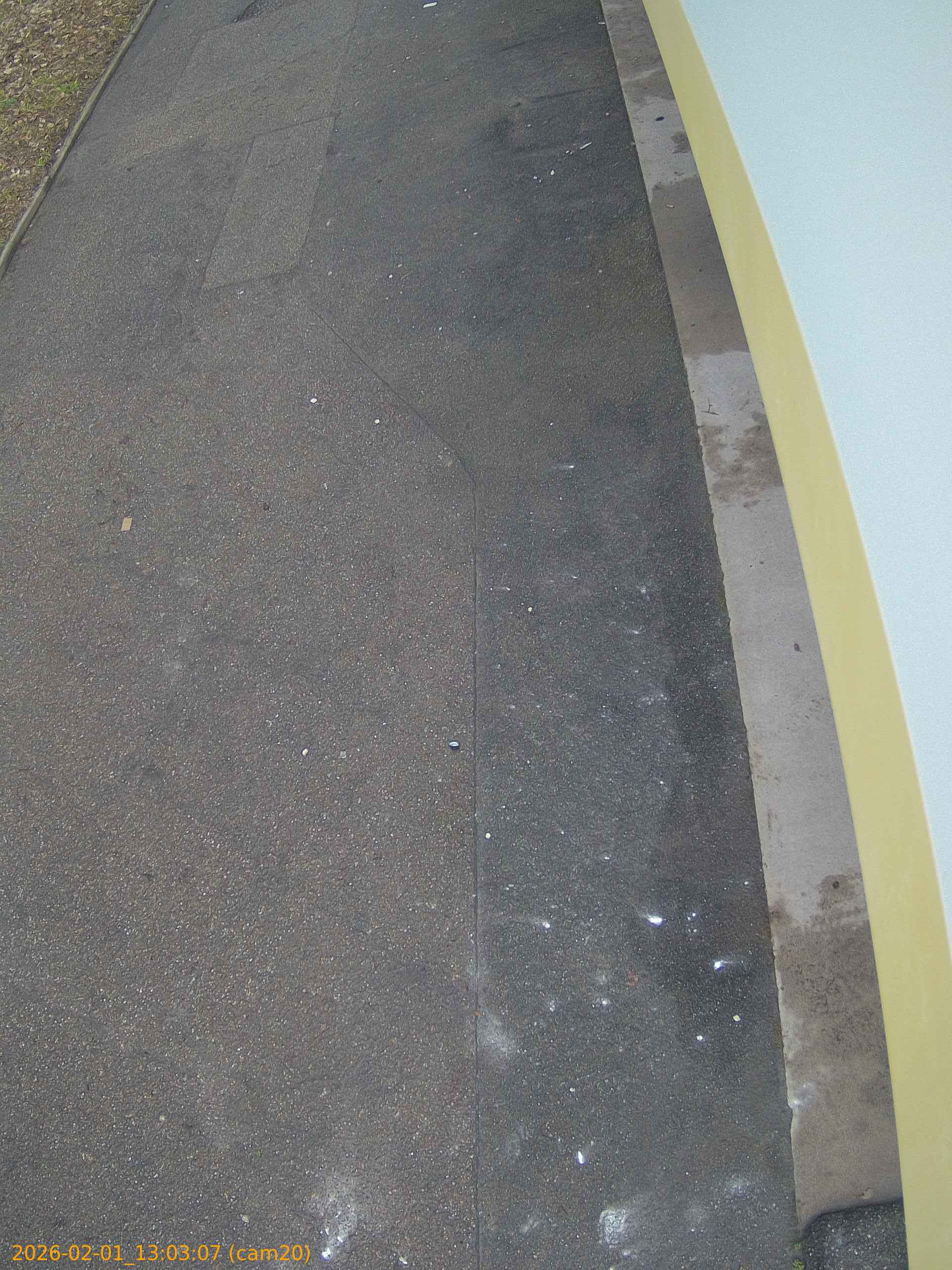 thumbnail_20260201130307