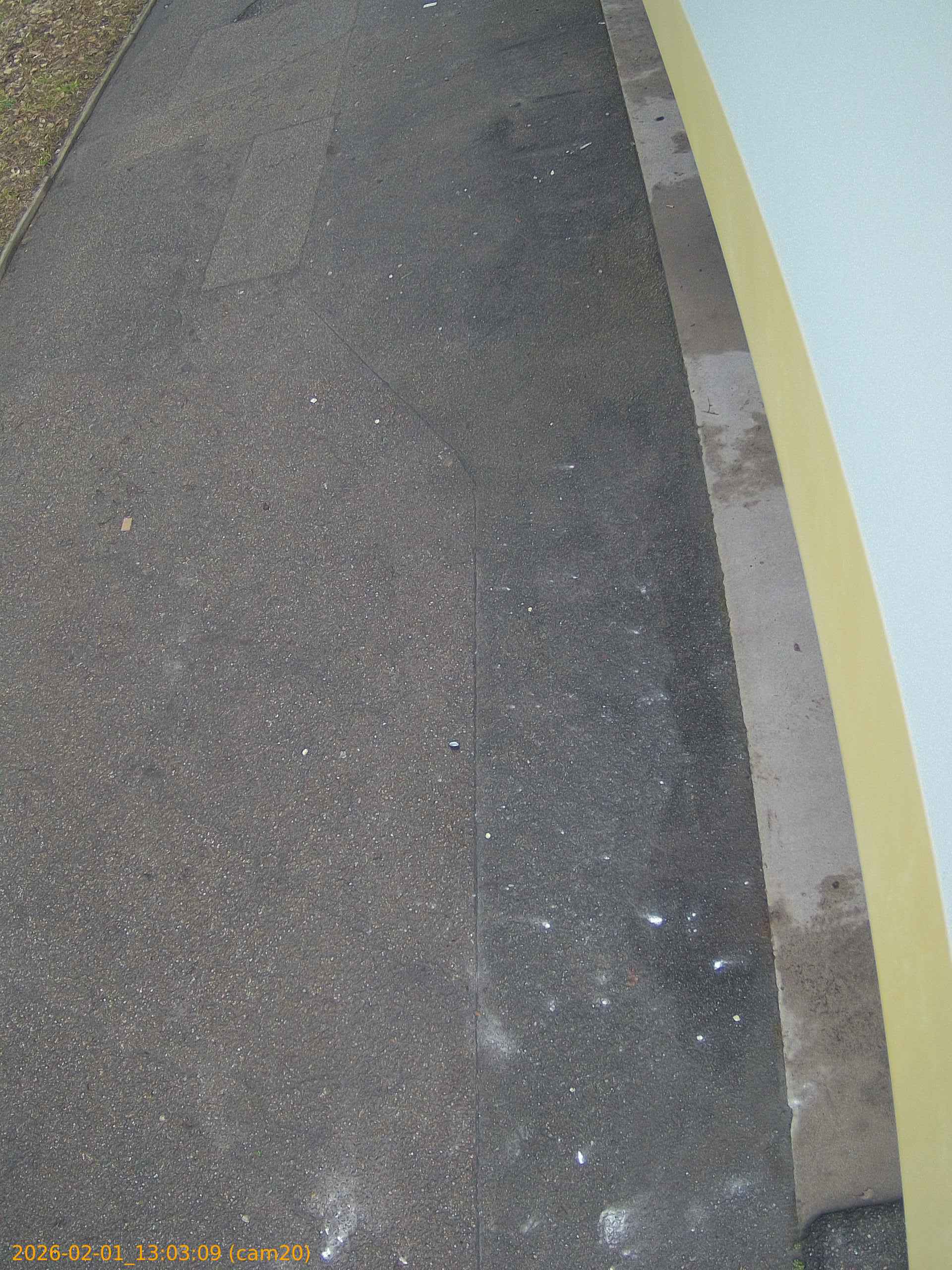 thumbnail_20260201130309