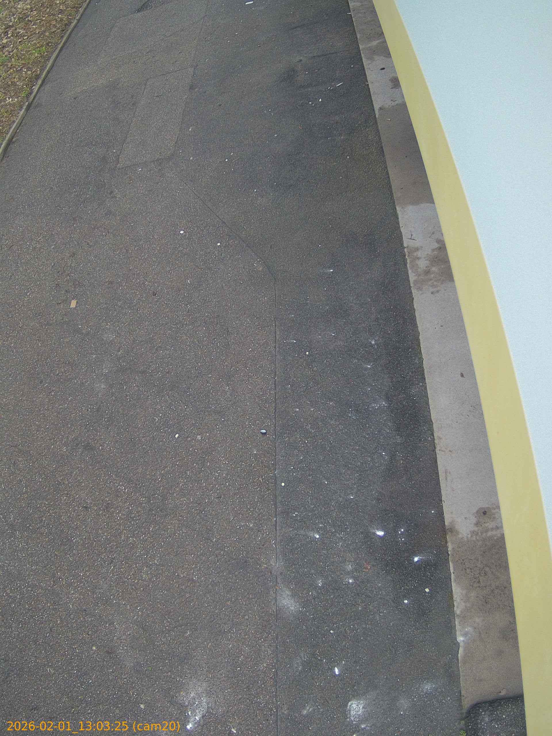 thumbnail_20260201130325