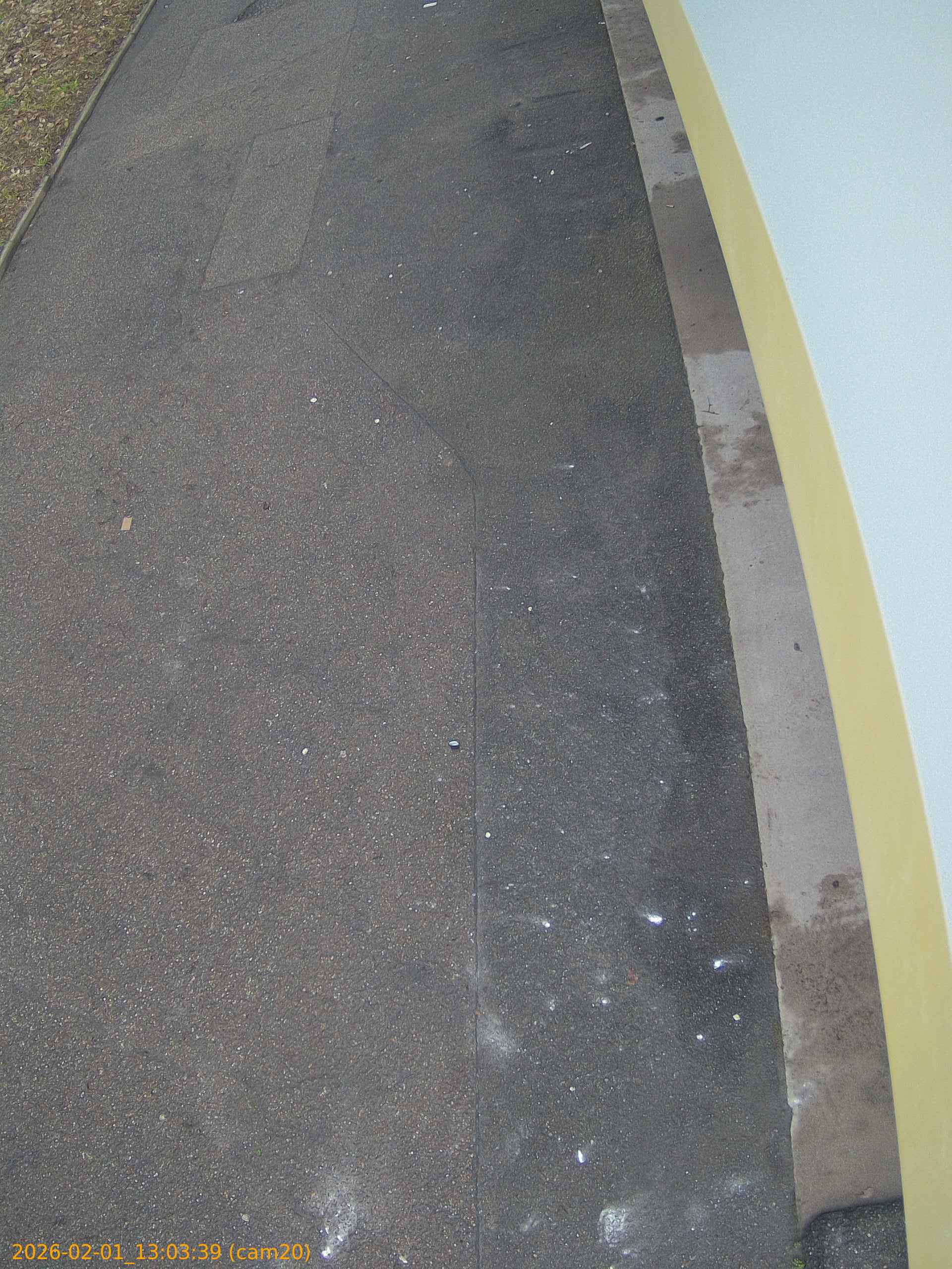 thumbnail_20260201130339