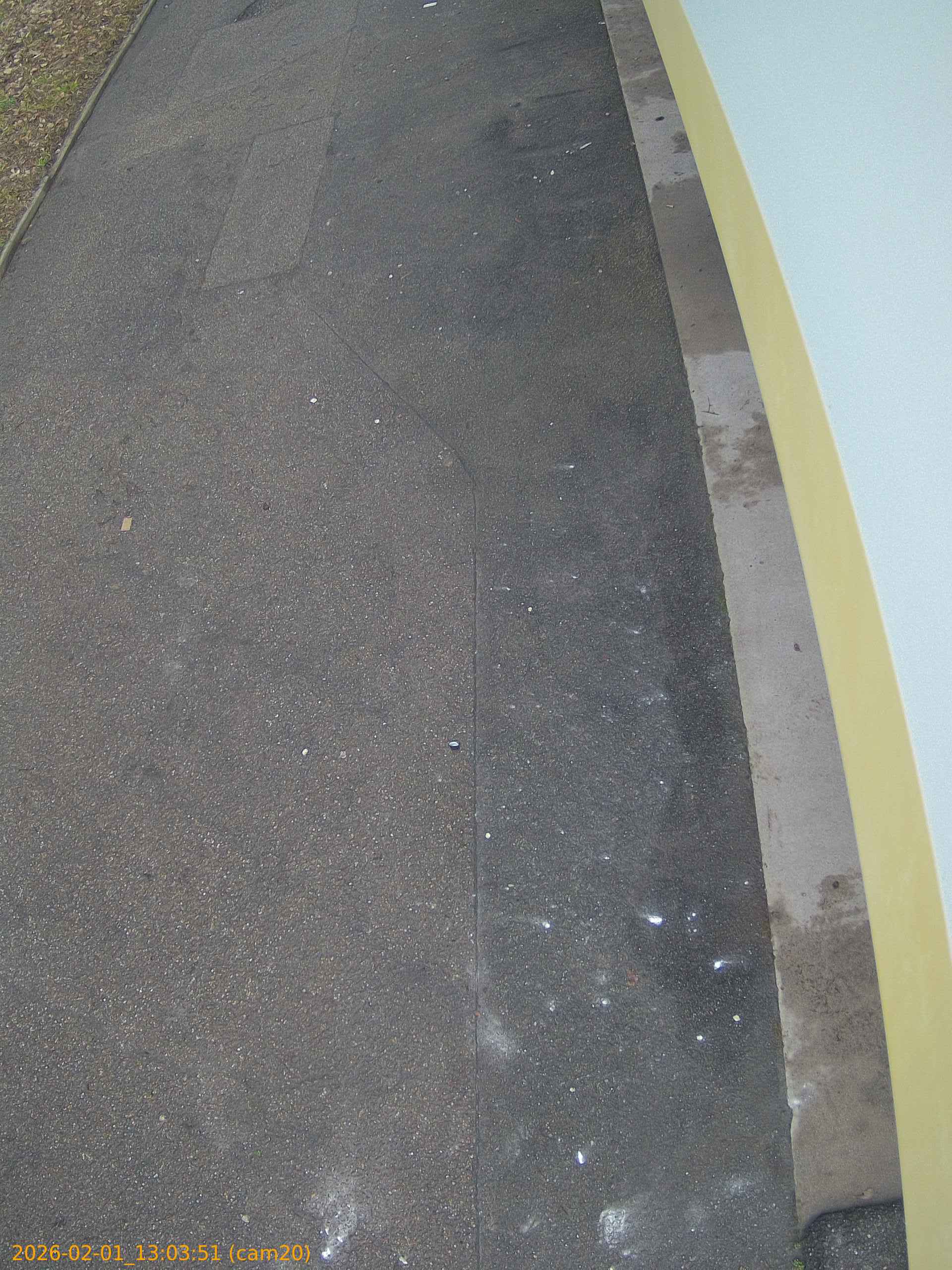 thumbnail_20260201130351