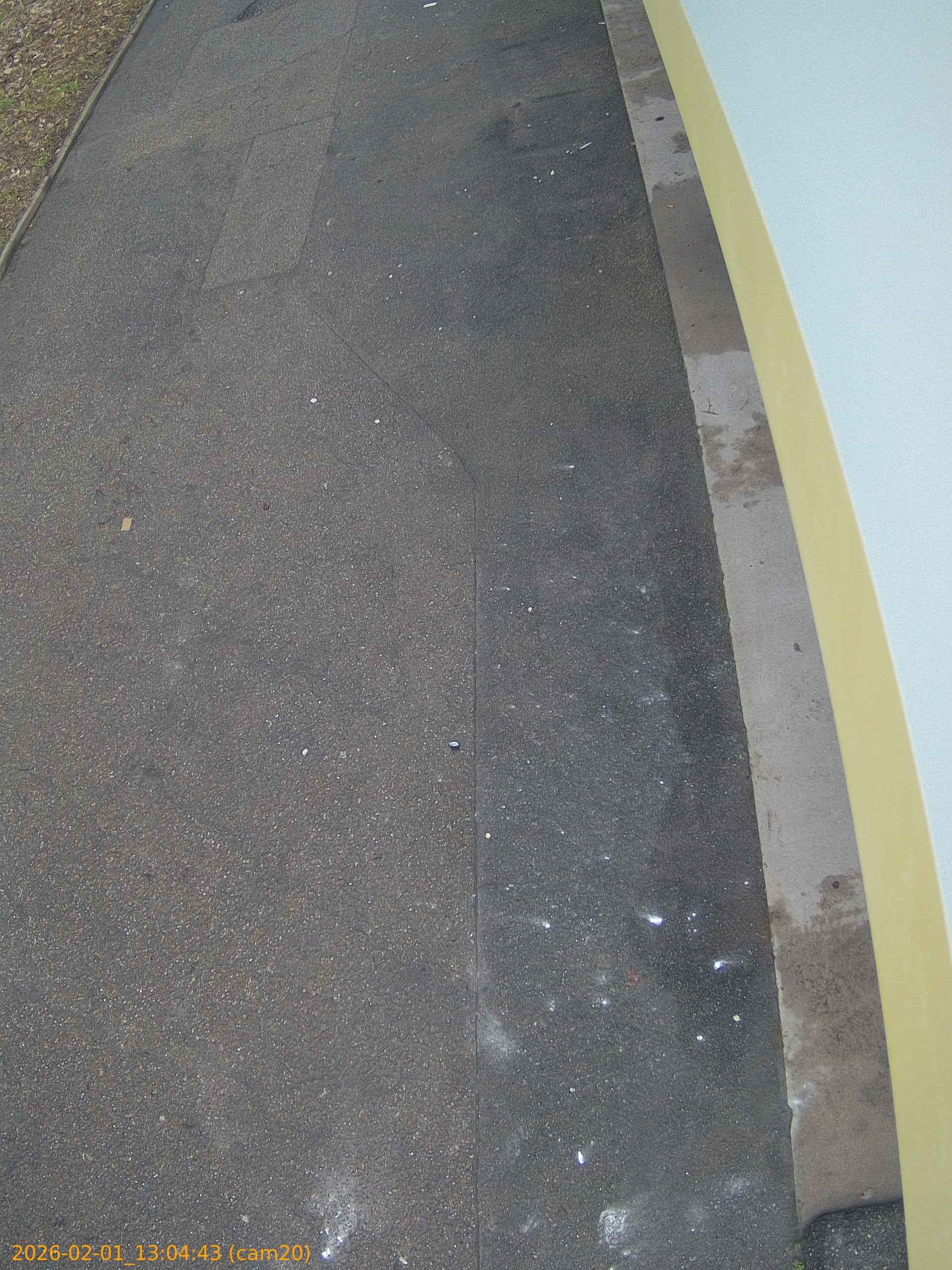 thumbnail_20260201130443