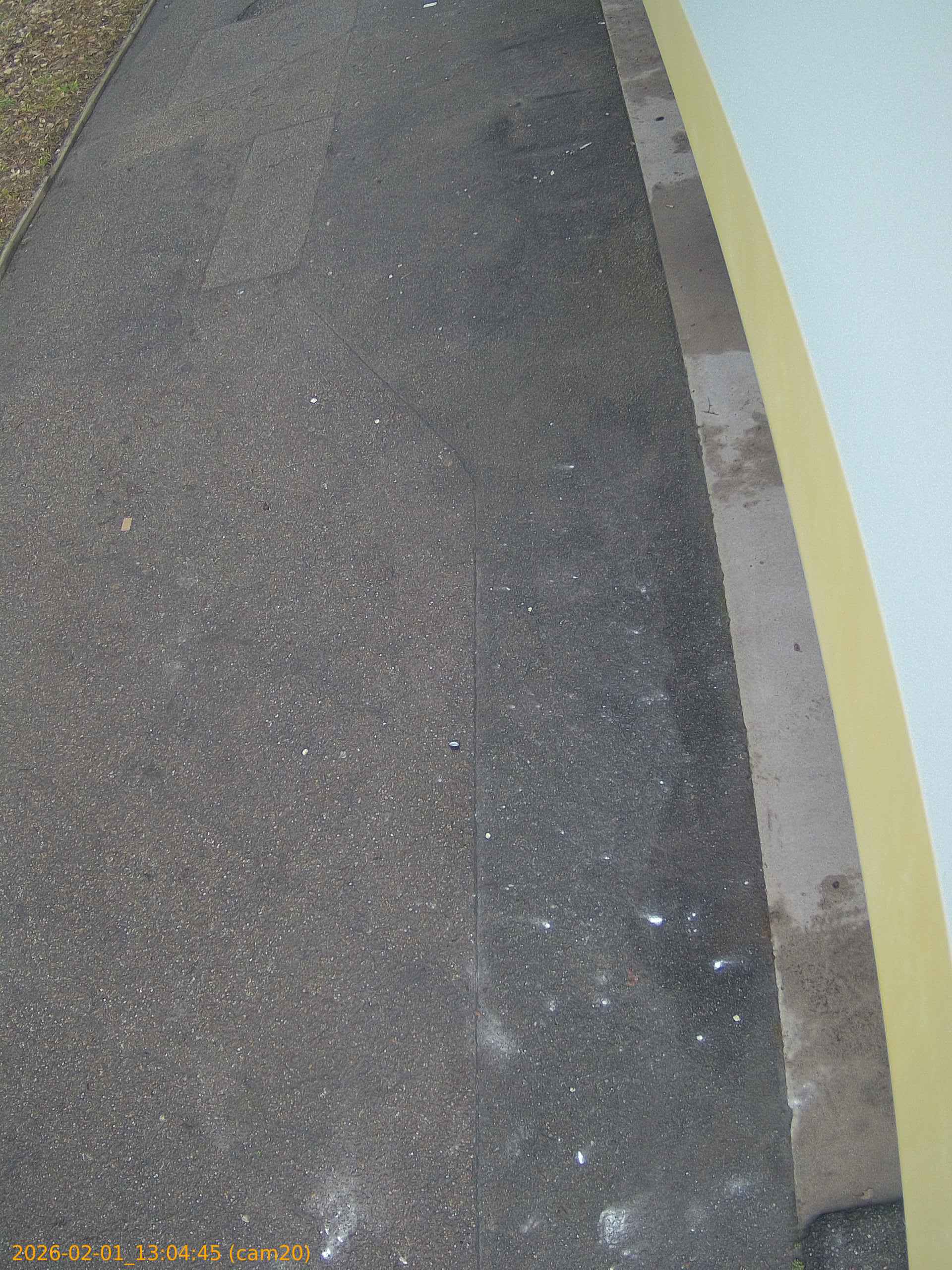 thumbnail_20260201130445