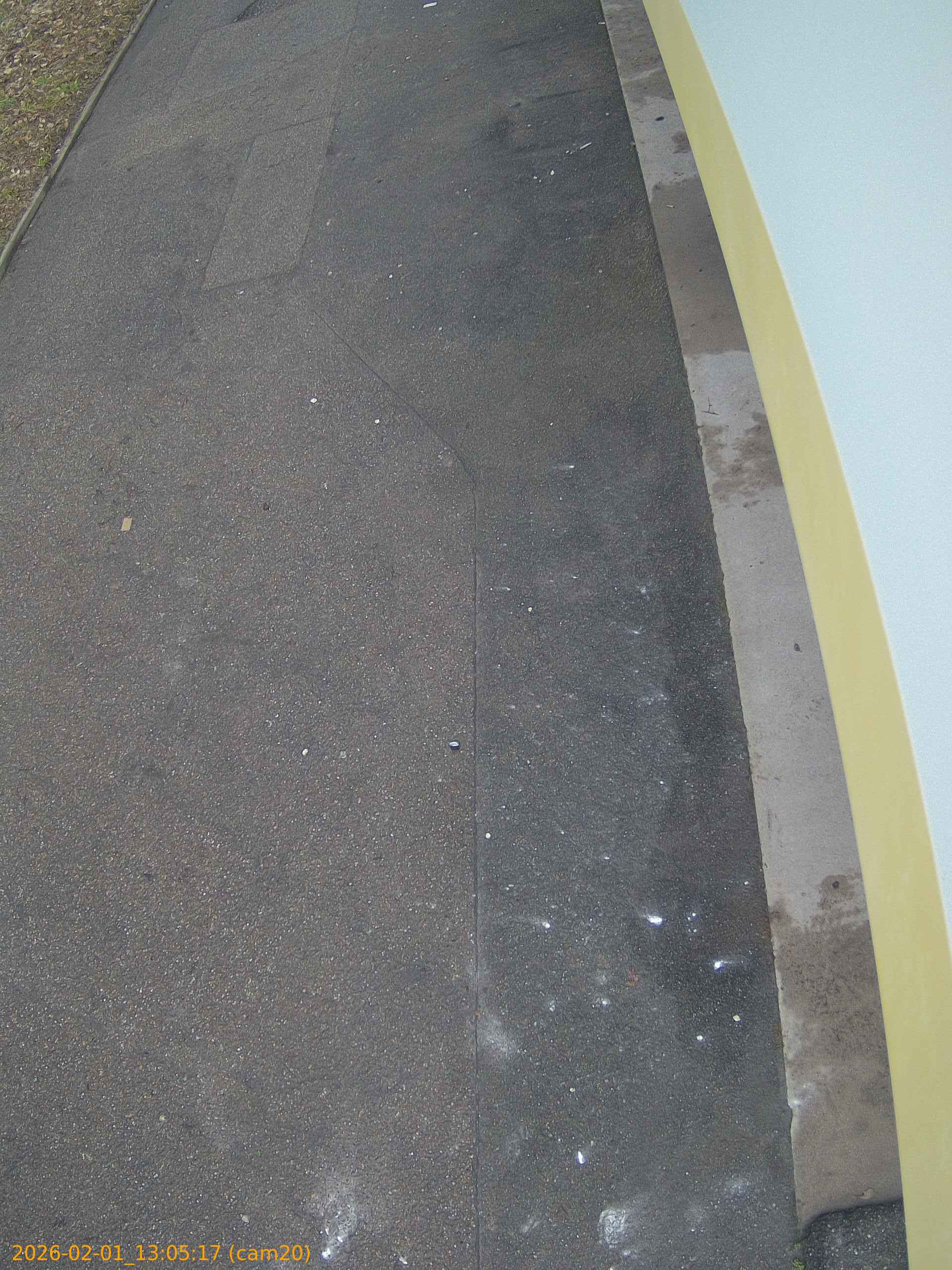 thumbnail_20260201130517