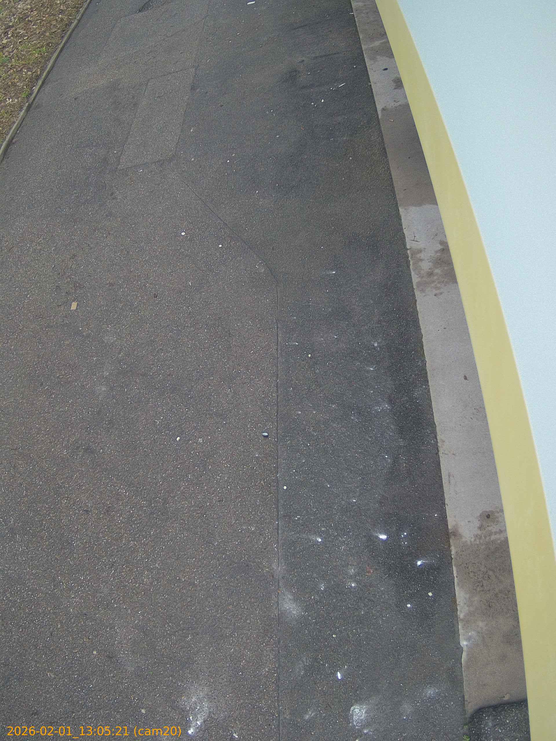 thumbnail_20260201130520