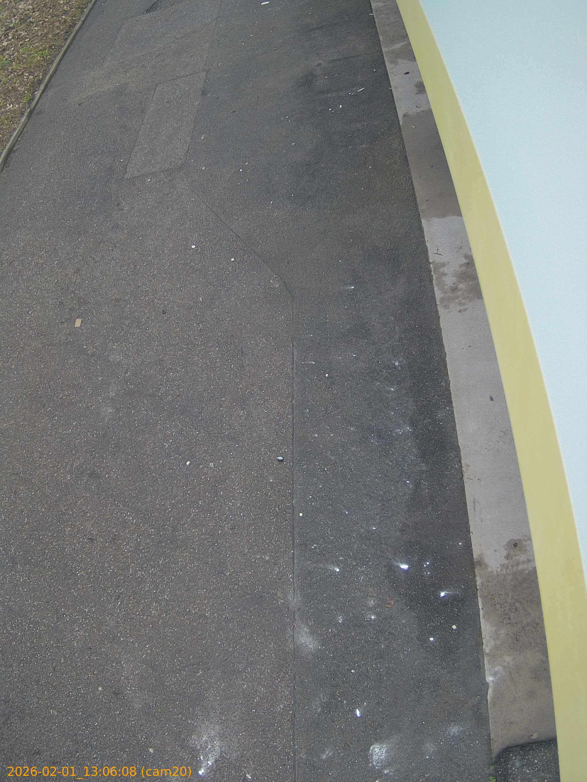 thumbnail_20260201130608