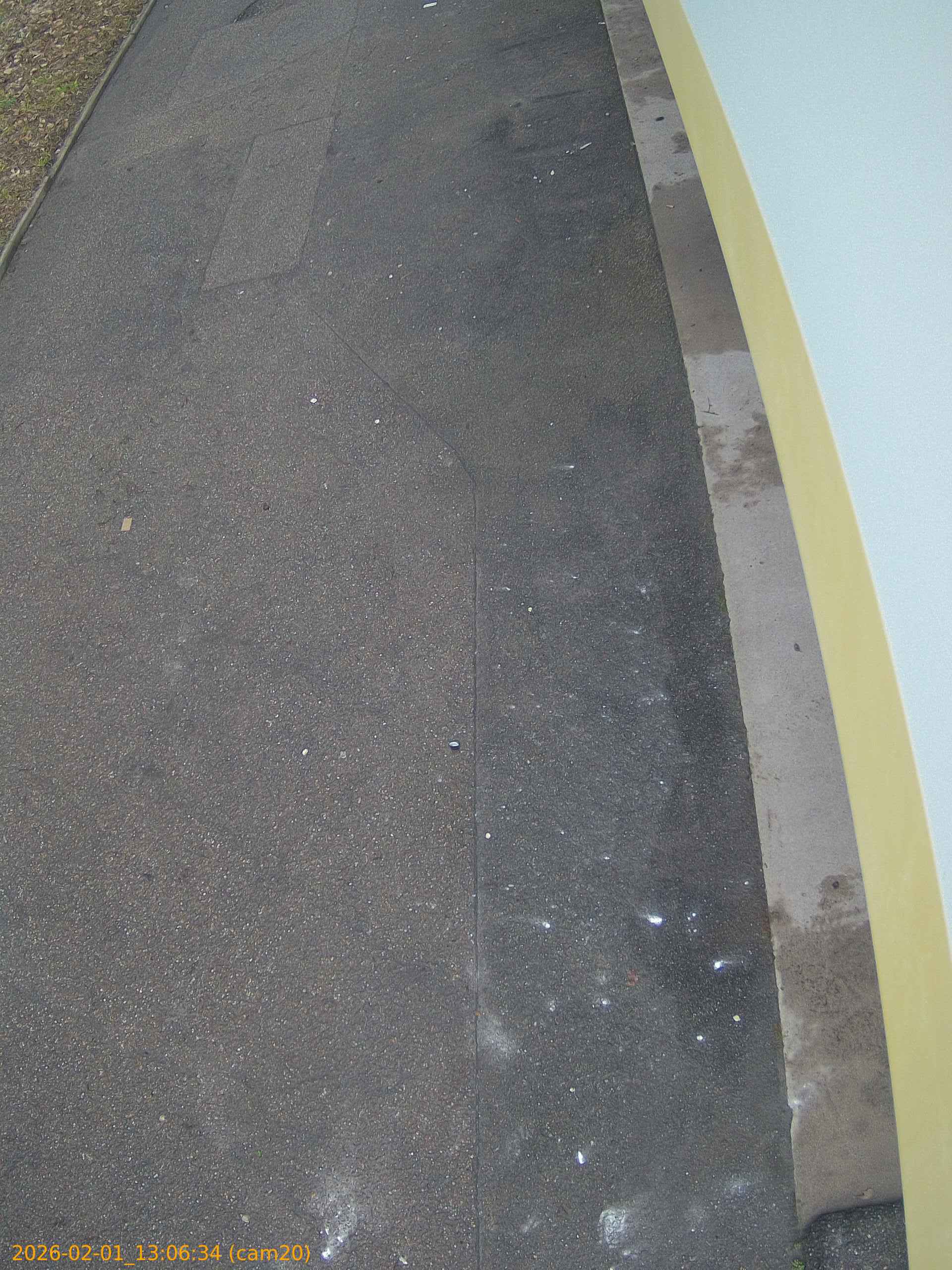 thumbnail_20260201130634