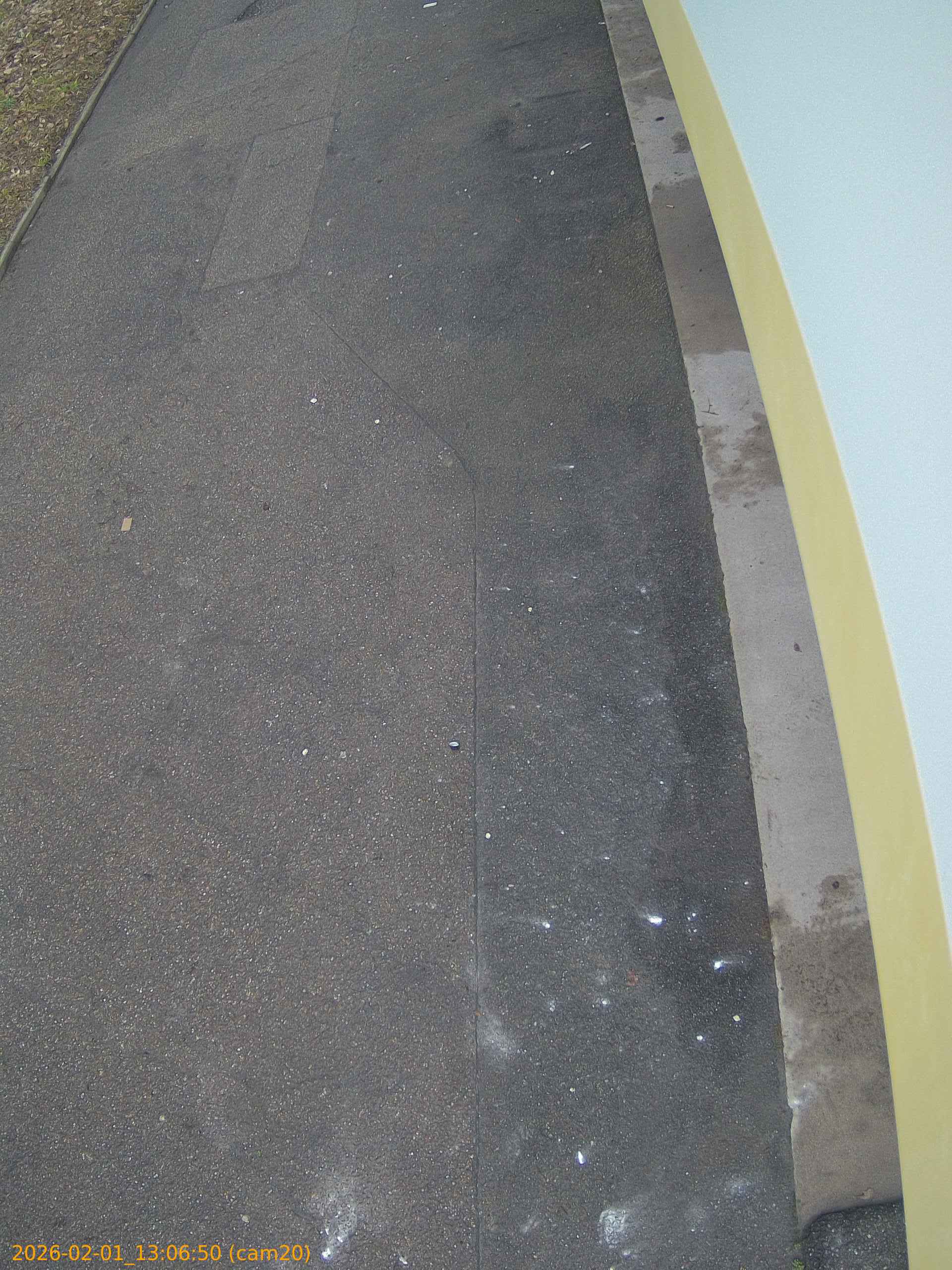 thumbnail_20260201130650