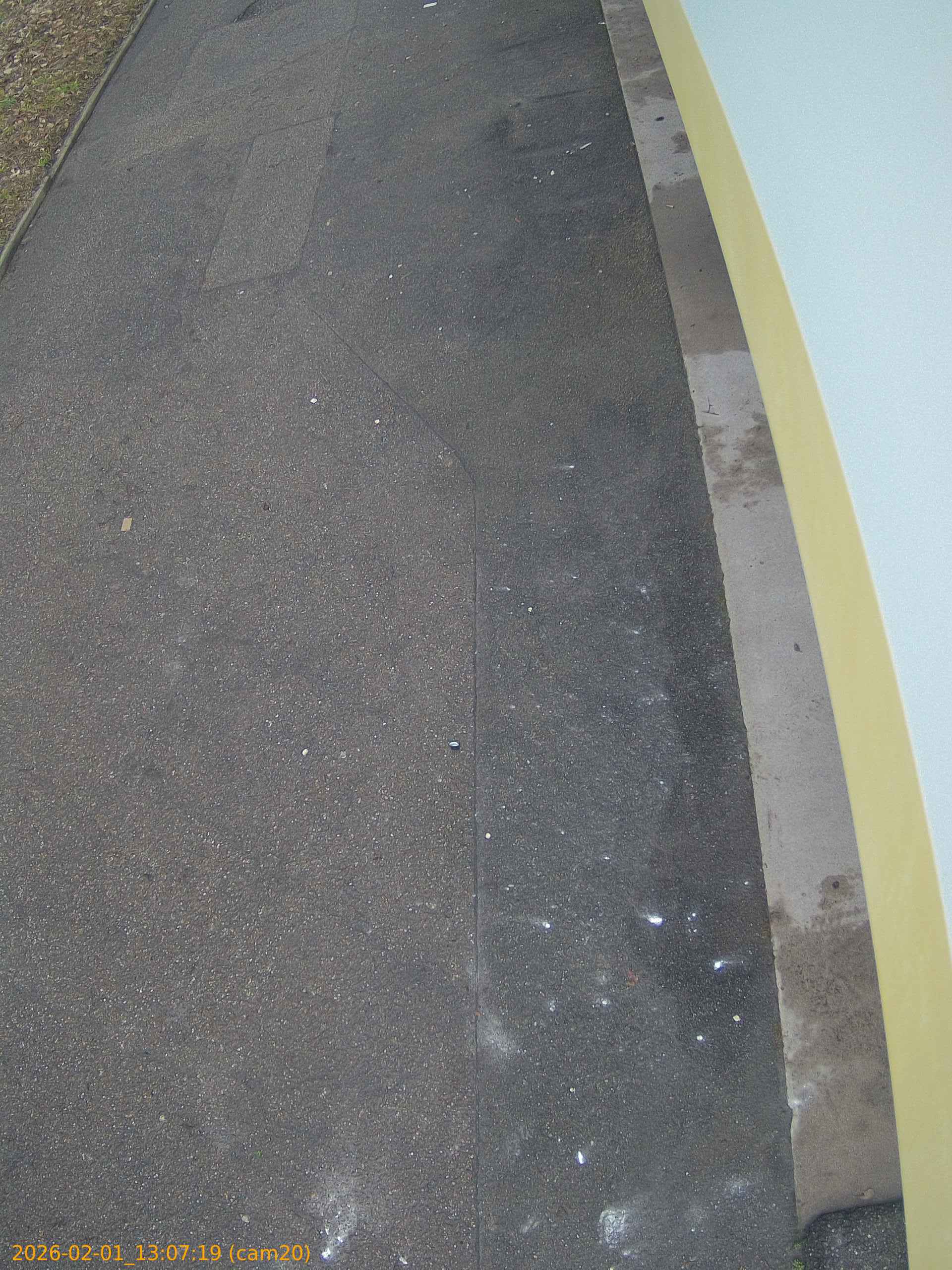 thumbnail_20260201130718