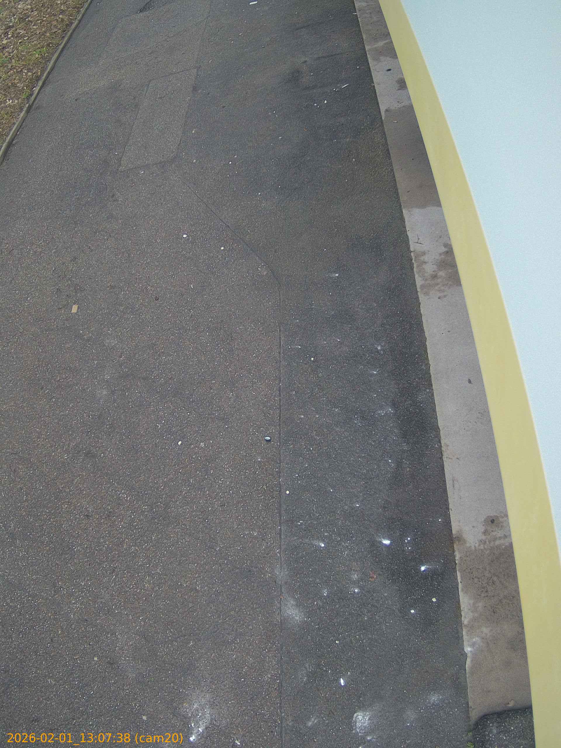 thumbnail_20260201130738