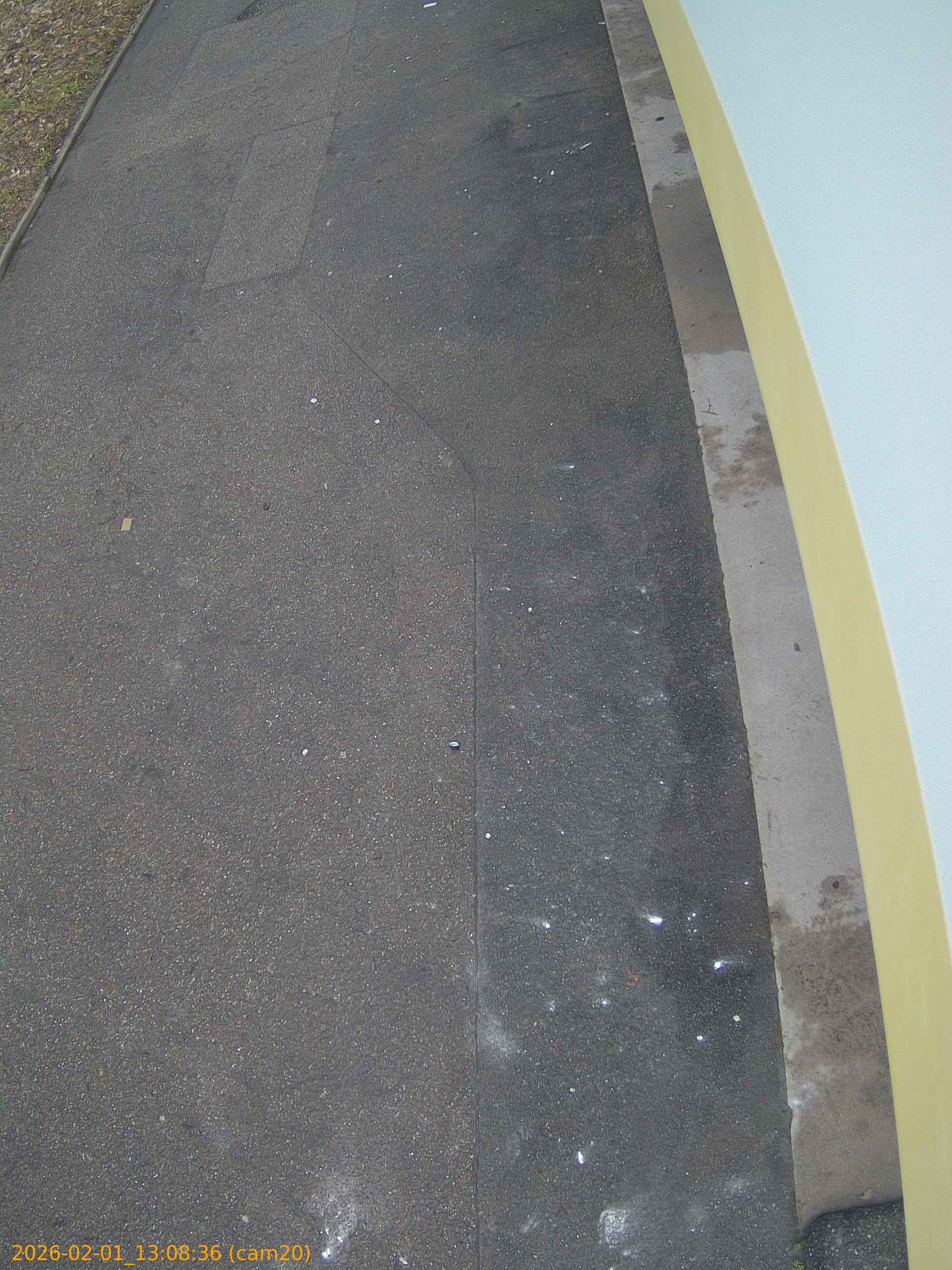 thumbnail_20260201130836