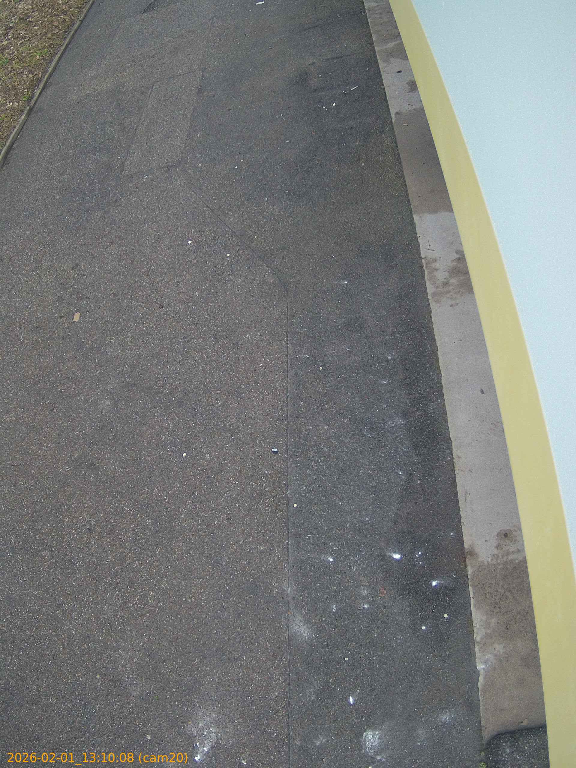 thumbnail_20260201131008