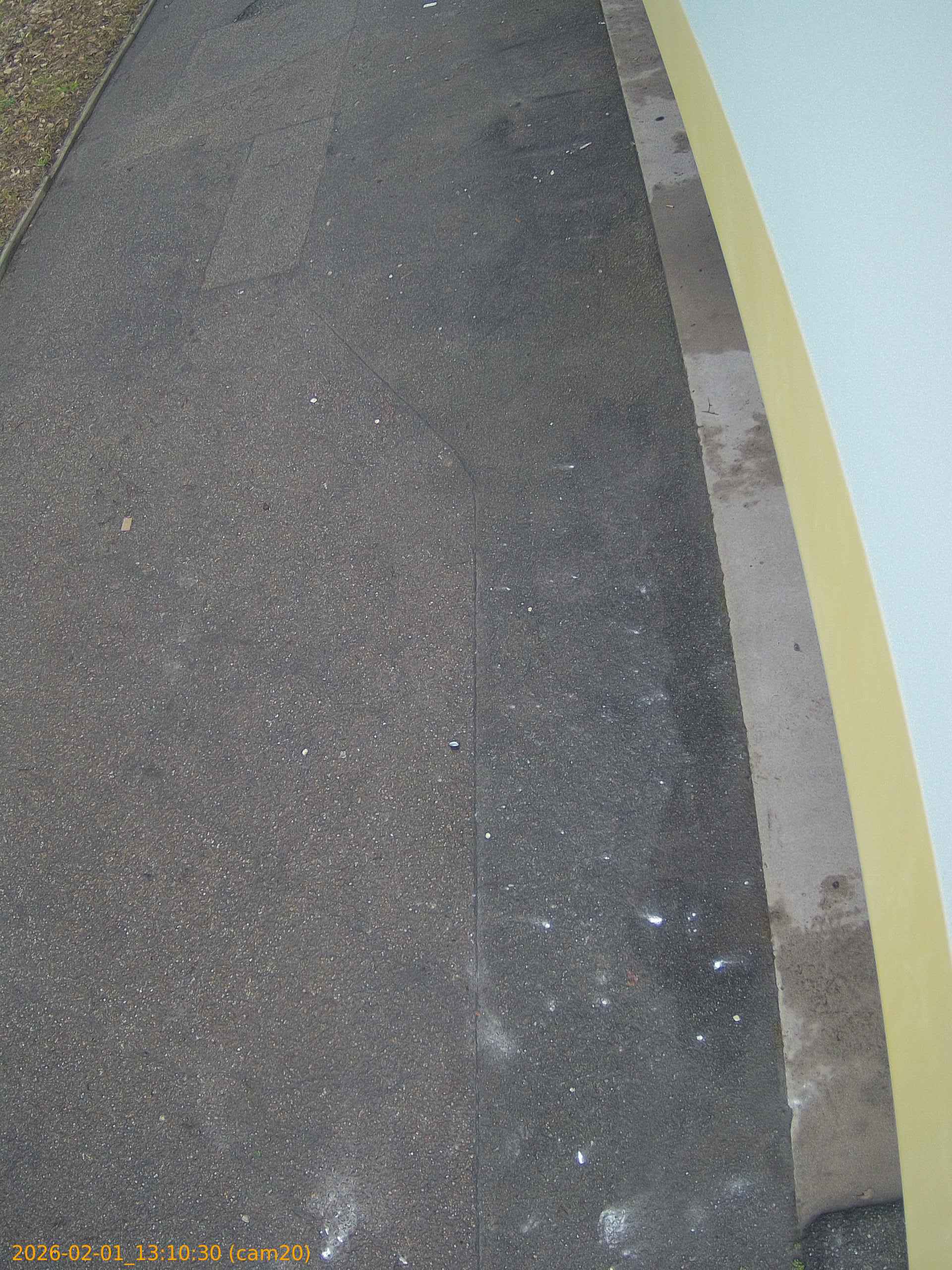 thumbnail_20260201131030