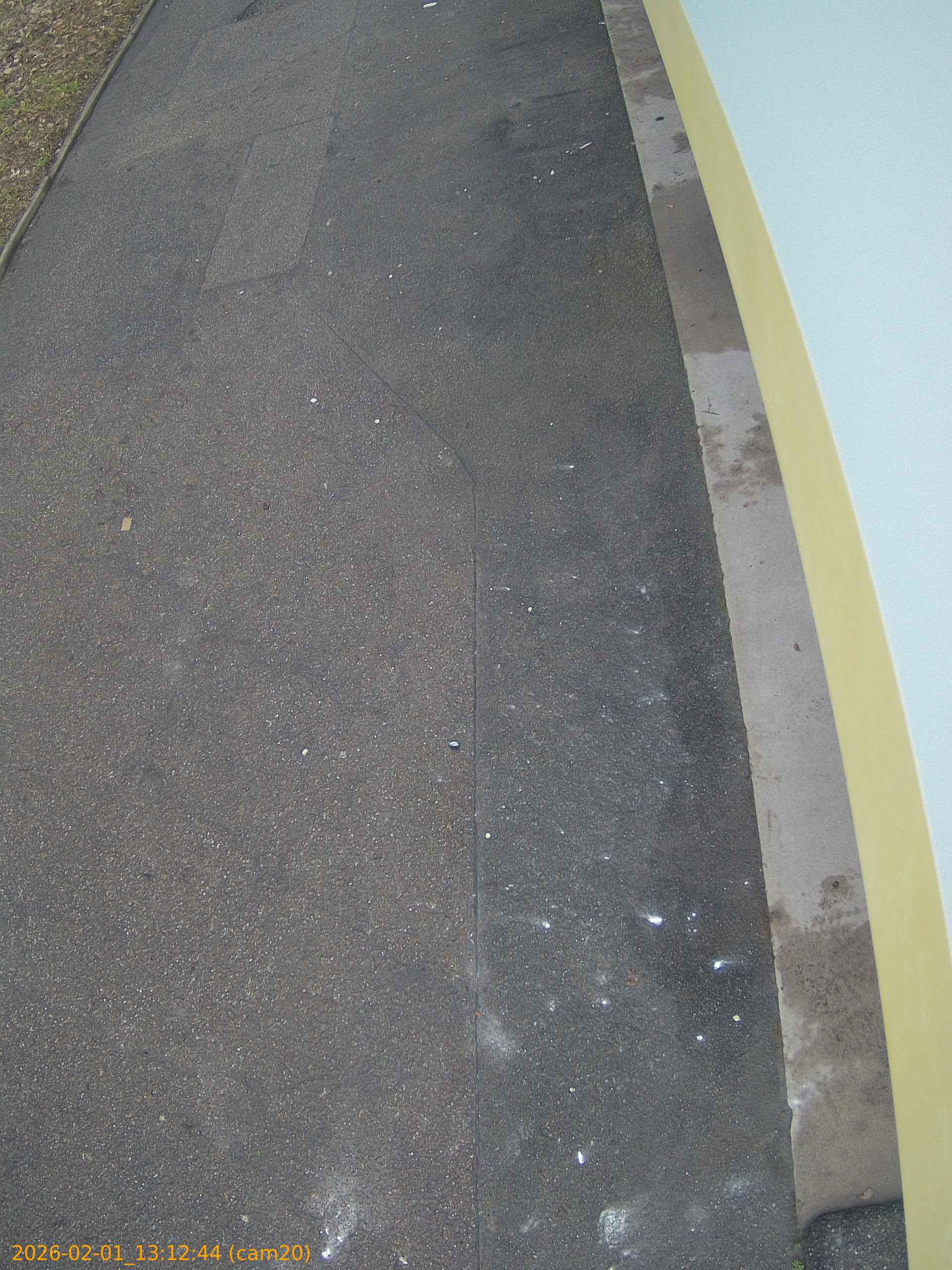 thumbnail_20260201131244