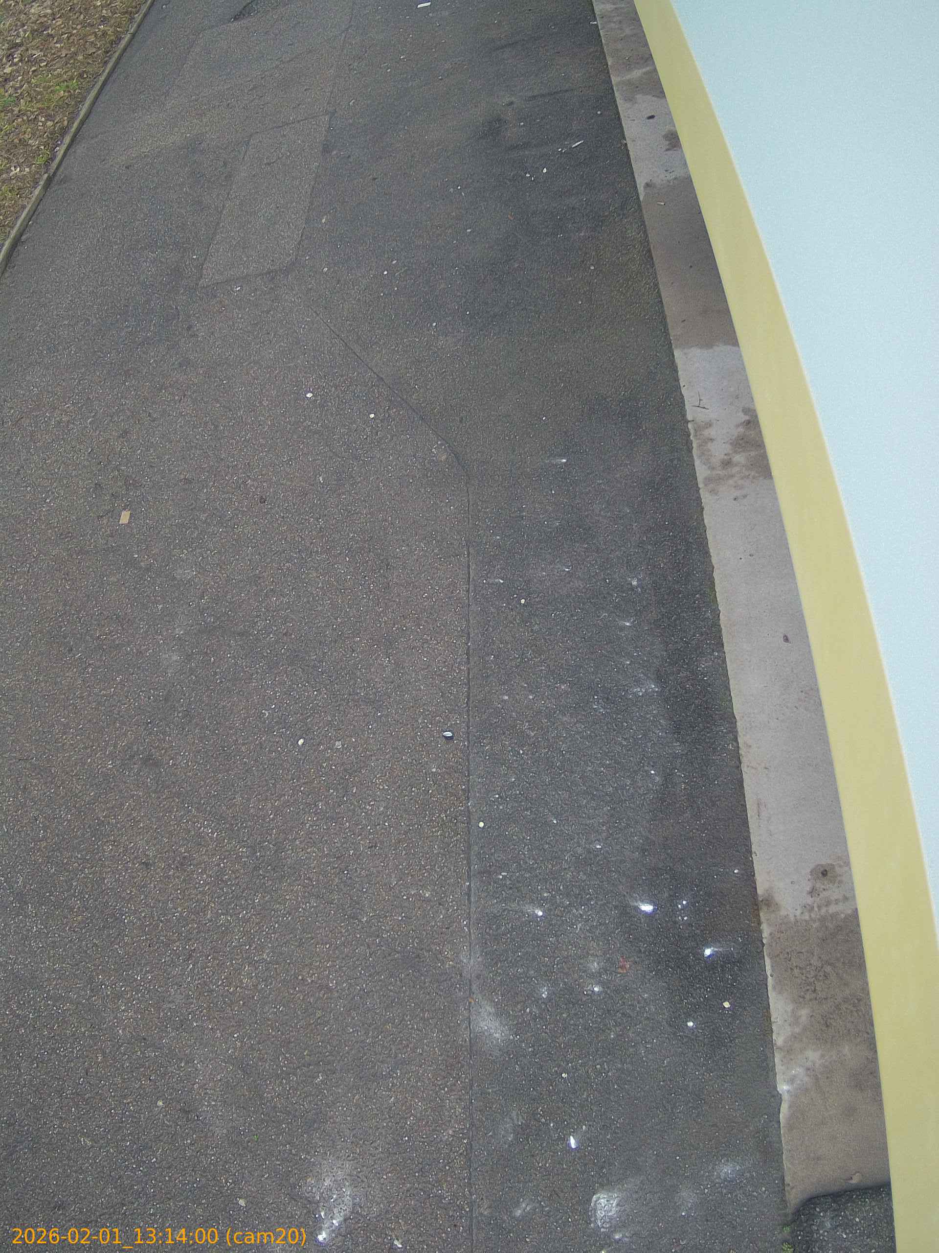 thumbnail_20260201131400