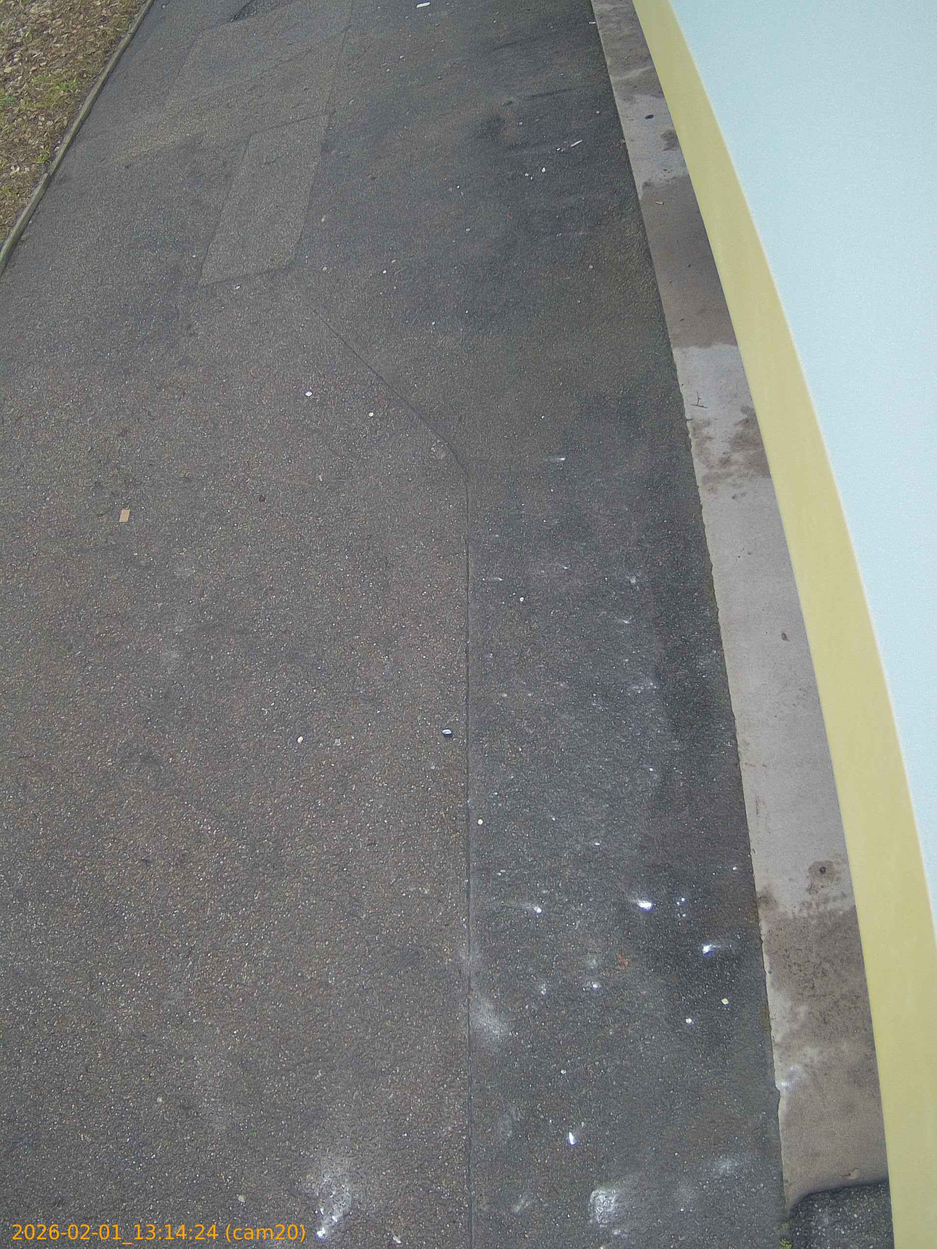 thumbnail_20260201131424